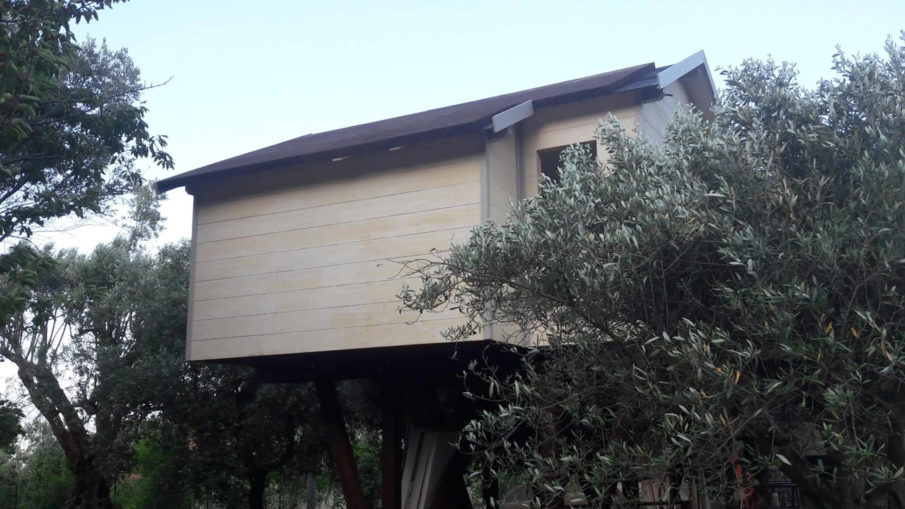 Property building in Palazzo Conforti Tree House Resort