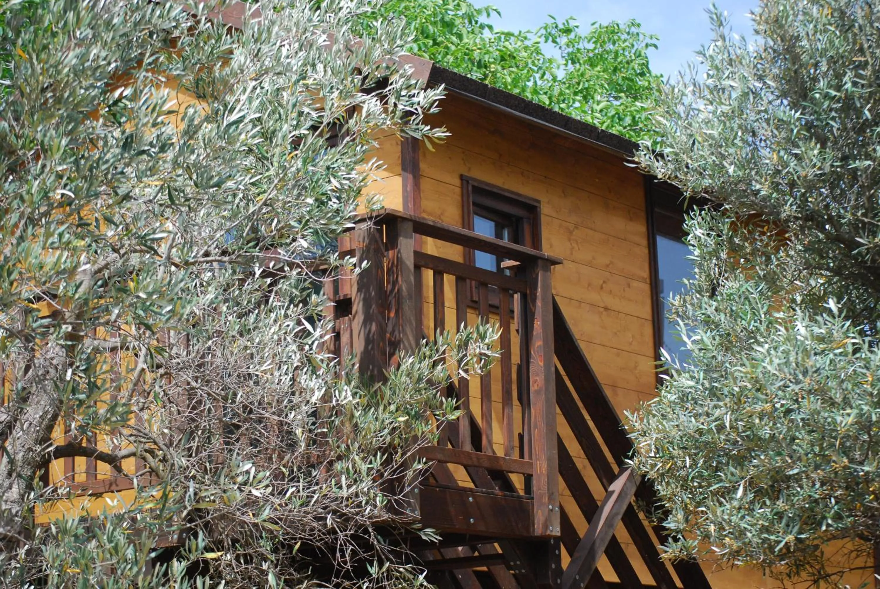 Palazzo Conforti Tree House Resort
