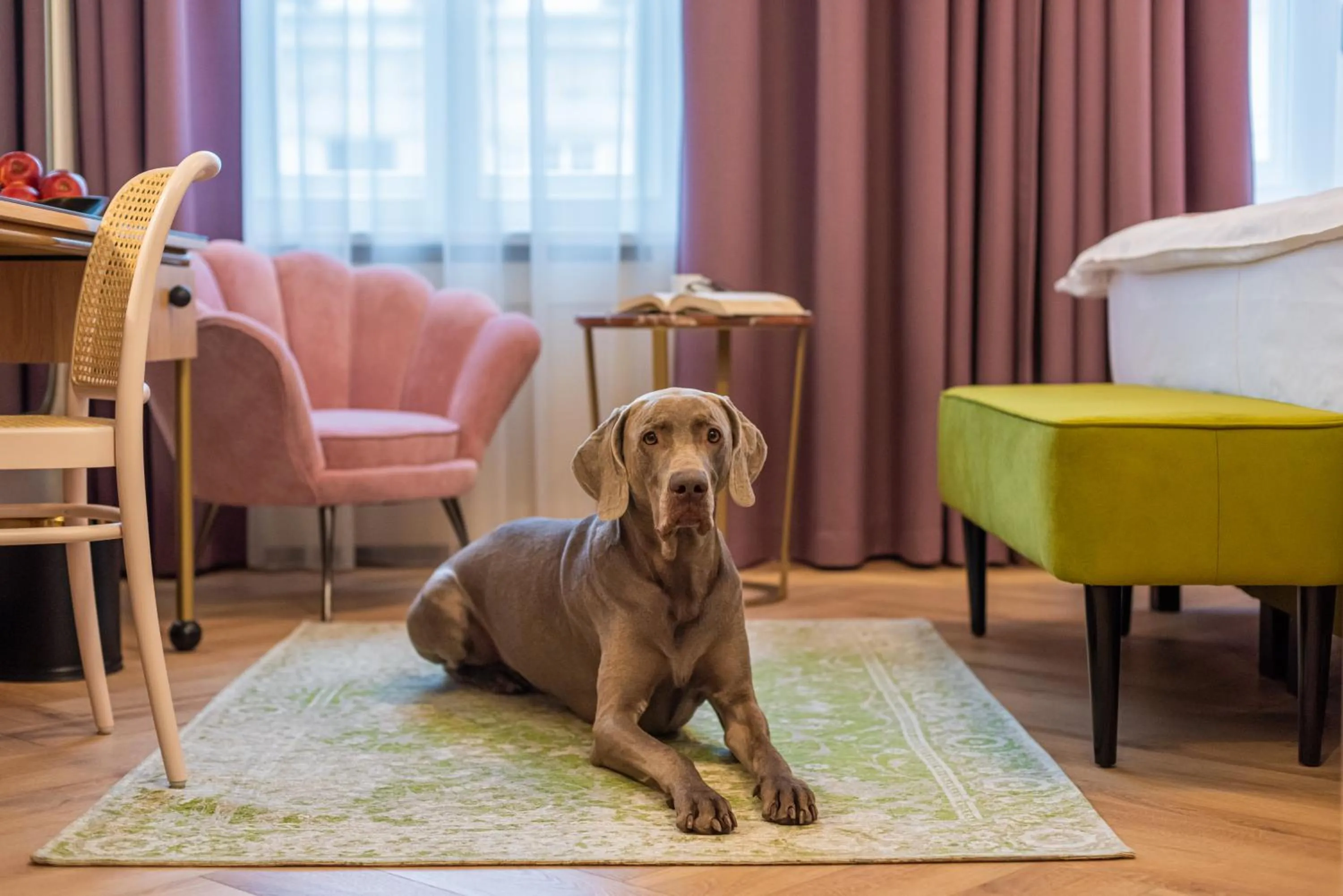 Photo of the whole room in SleepWell Boutique Apartments