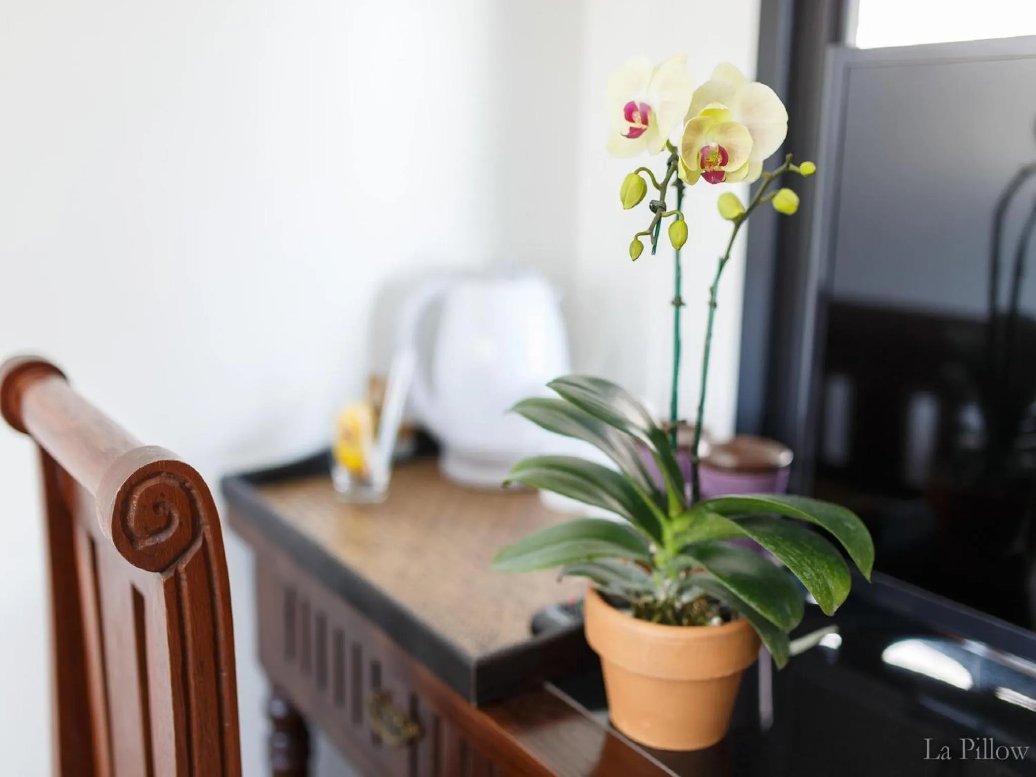 Coffee/tea facilities in La Pillow 8