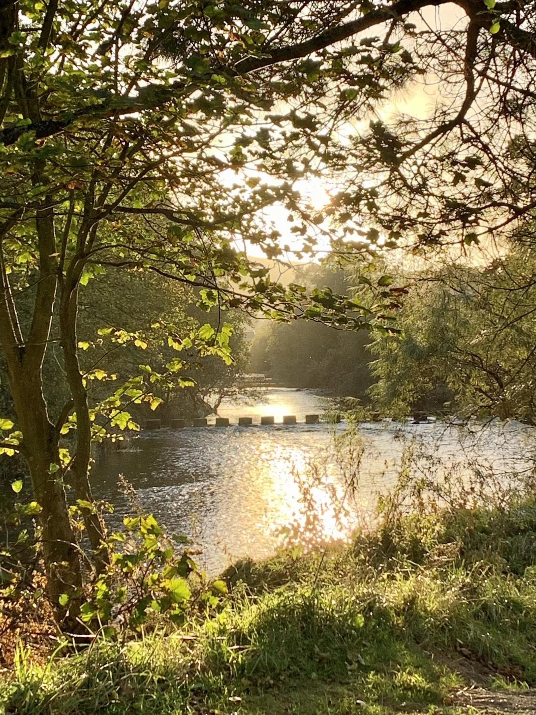 Other in Turks Head Rothbury