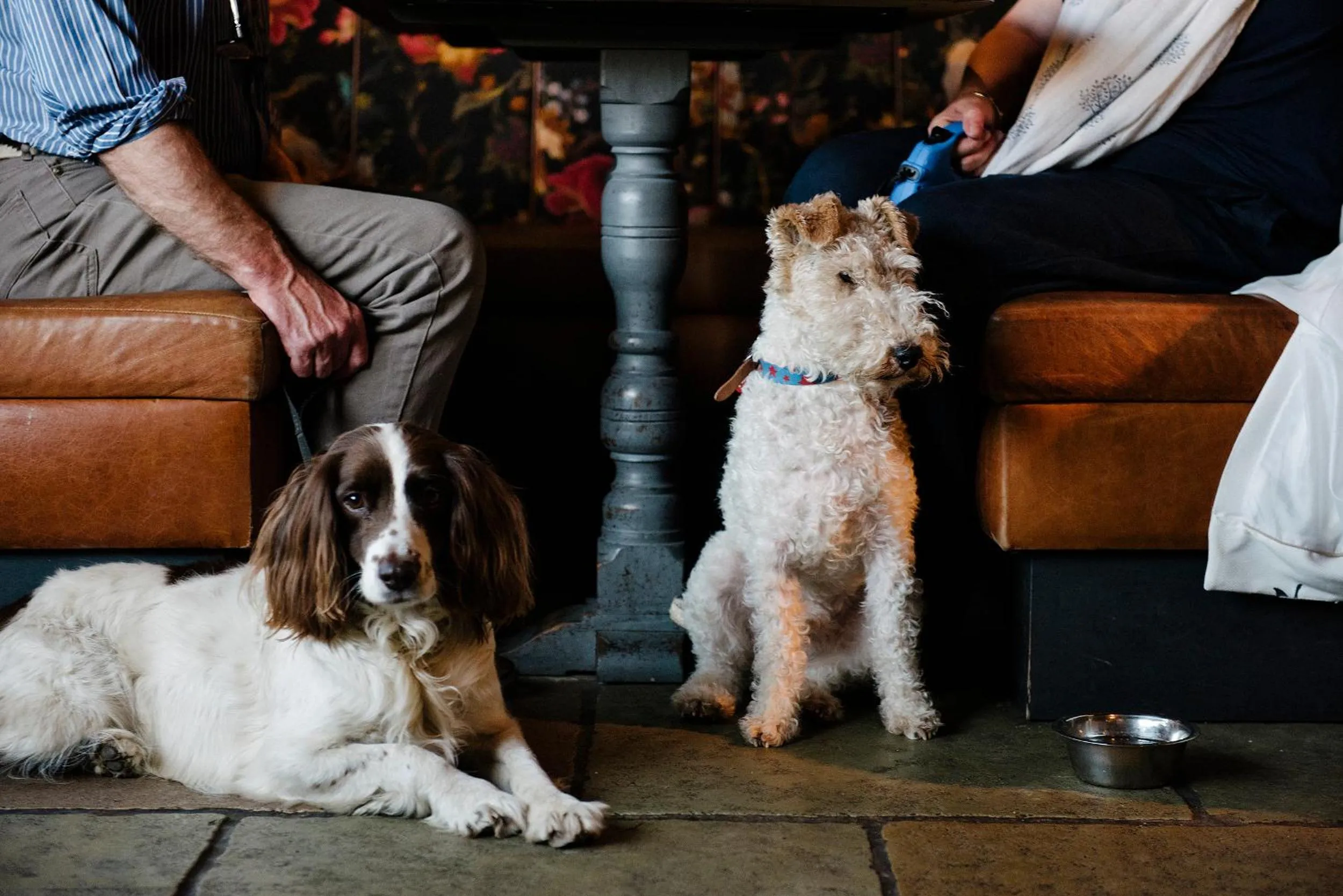 Pets in The Joiners Arms