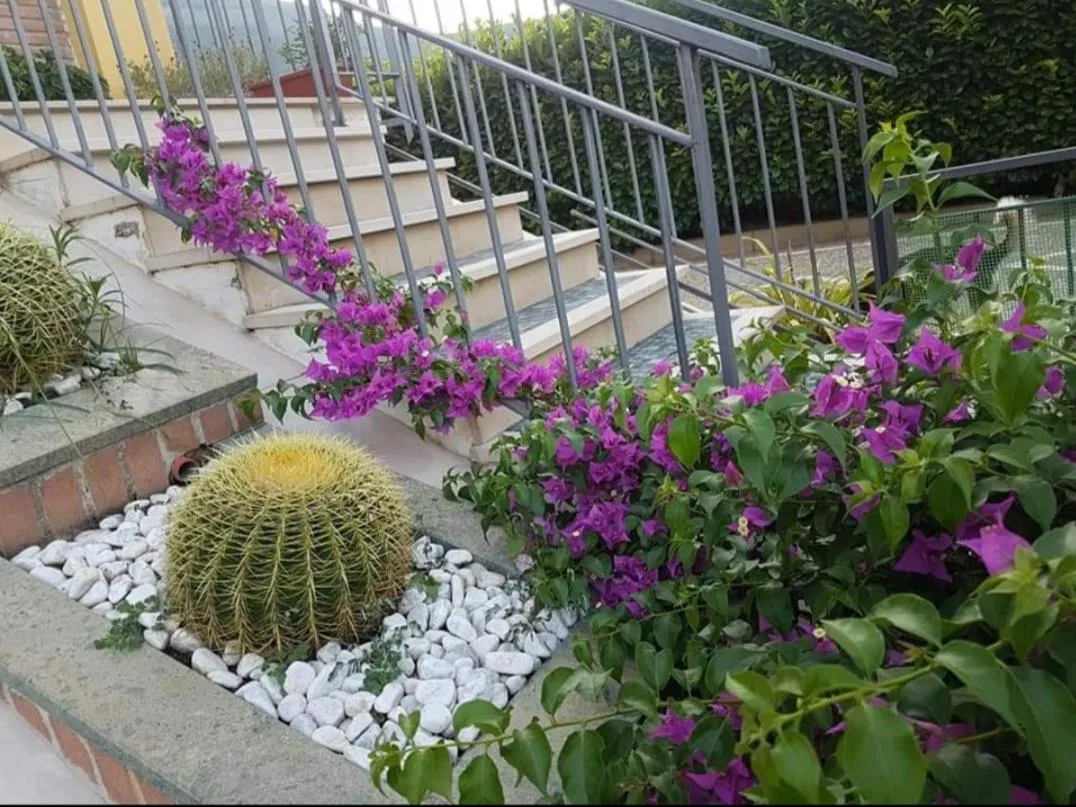 Patio in B&B Rossella