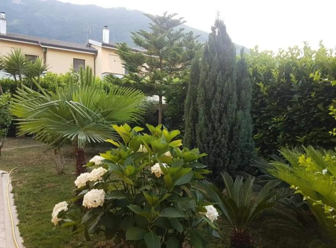 Property building in B&B Rossella