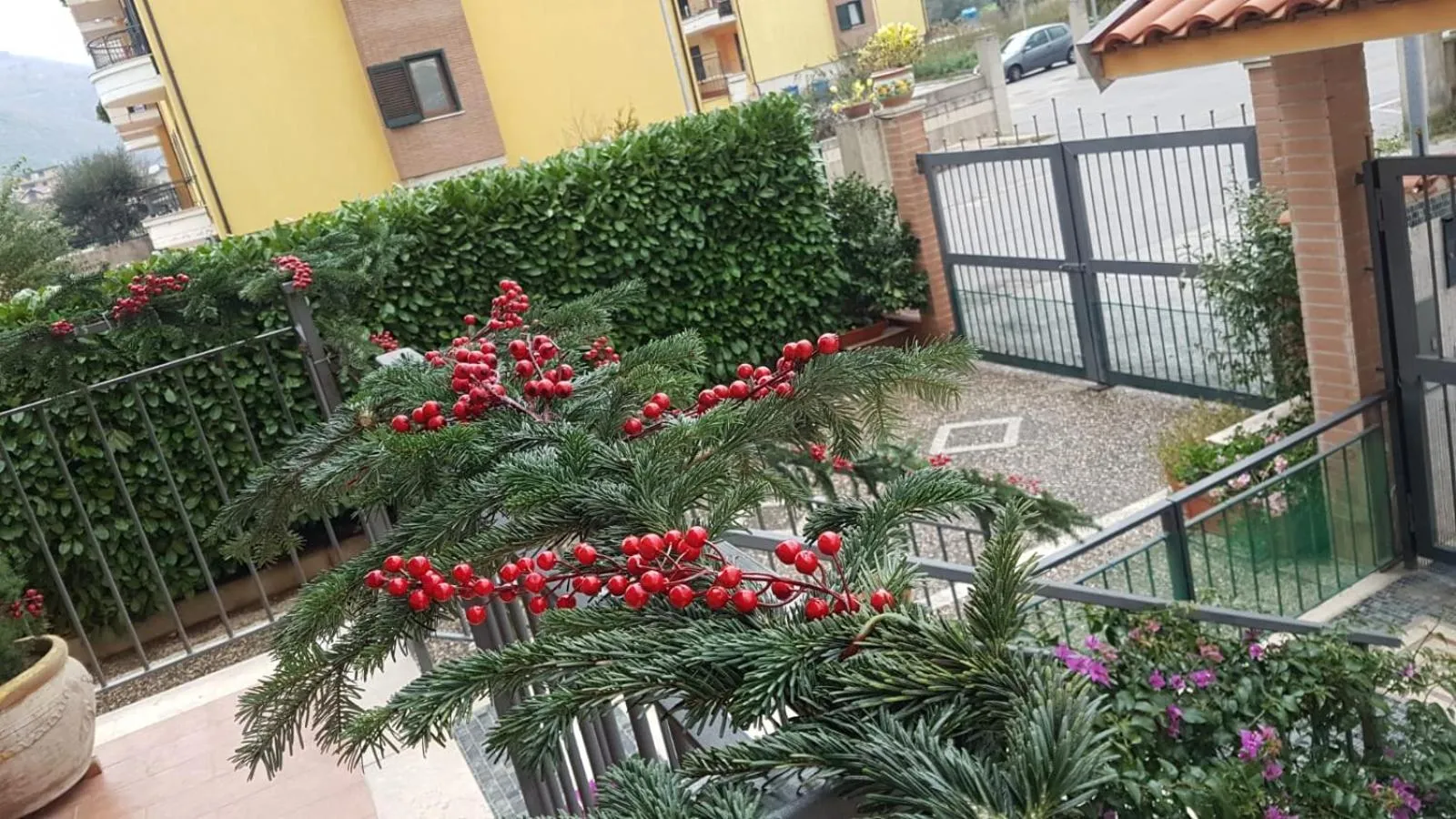 Patio in B&B Rossella