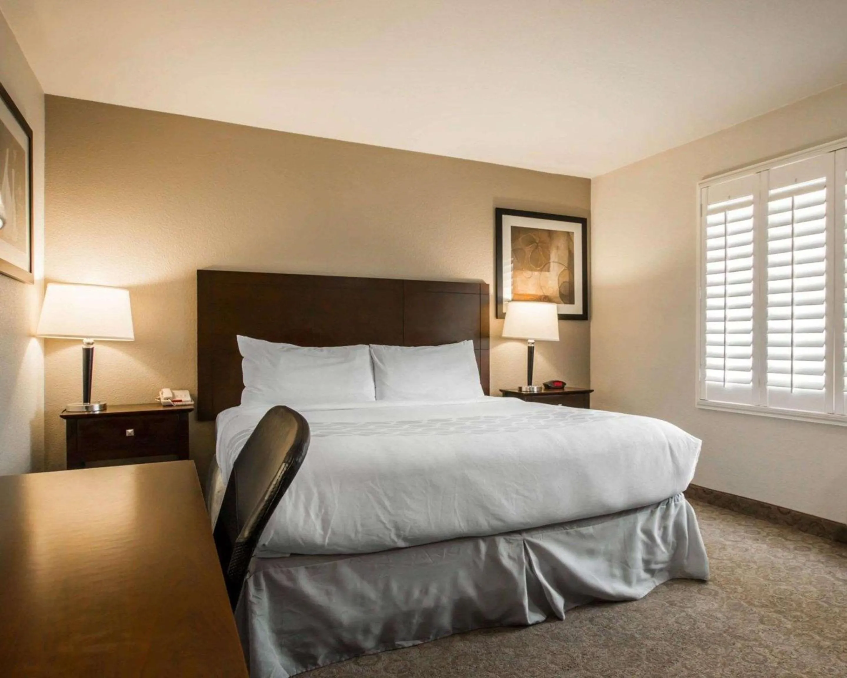 Bedroom, Bed in Rodeway Inn Convention Center