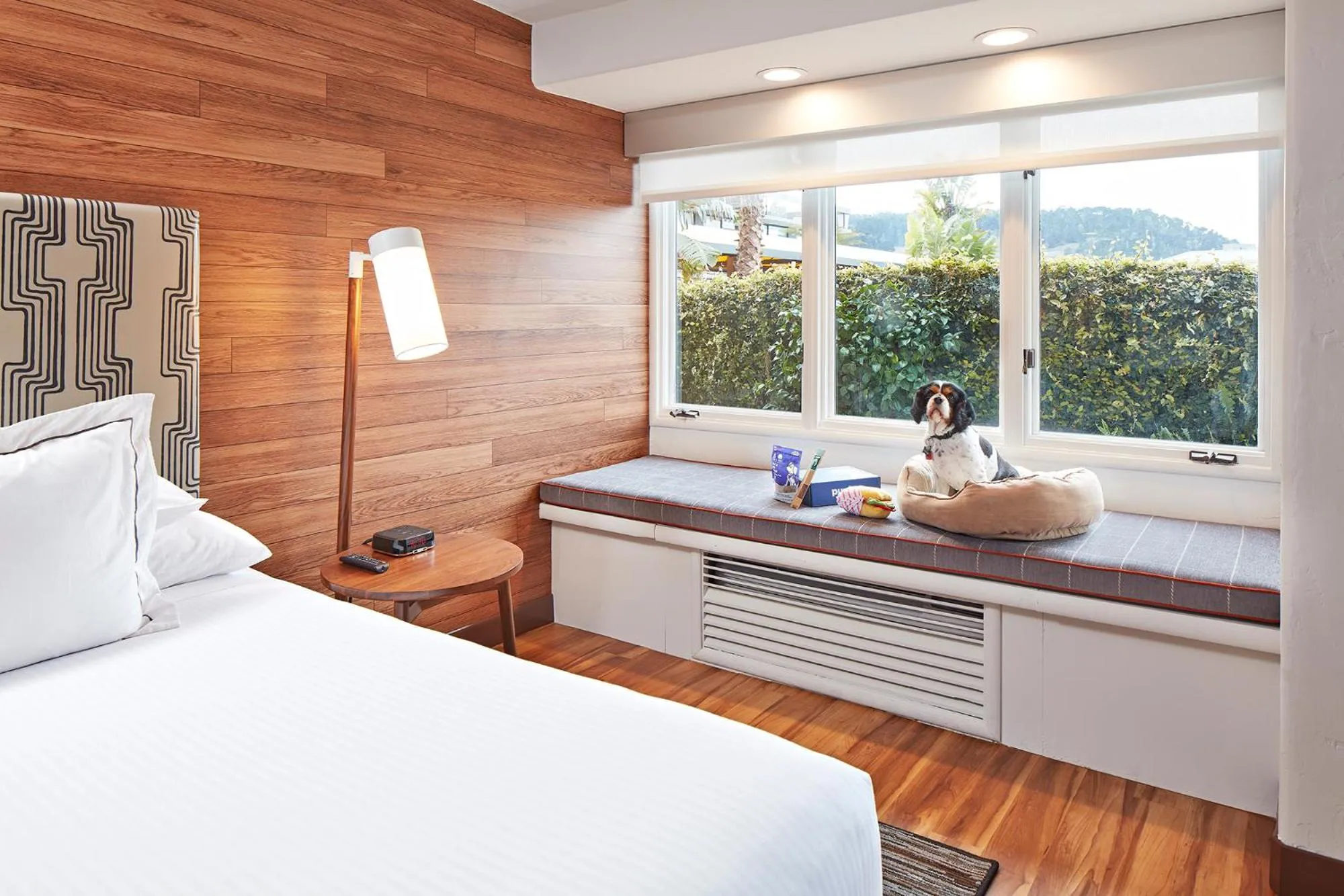 Pets, Bed in Carmel Mission Inn