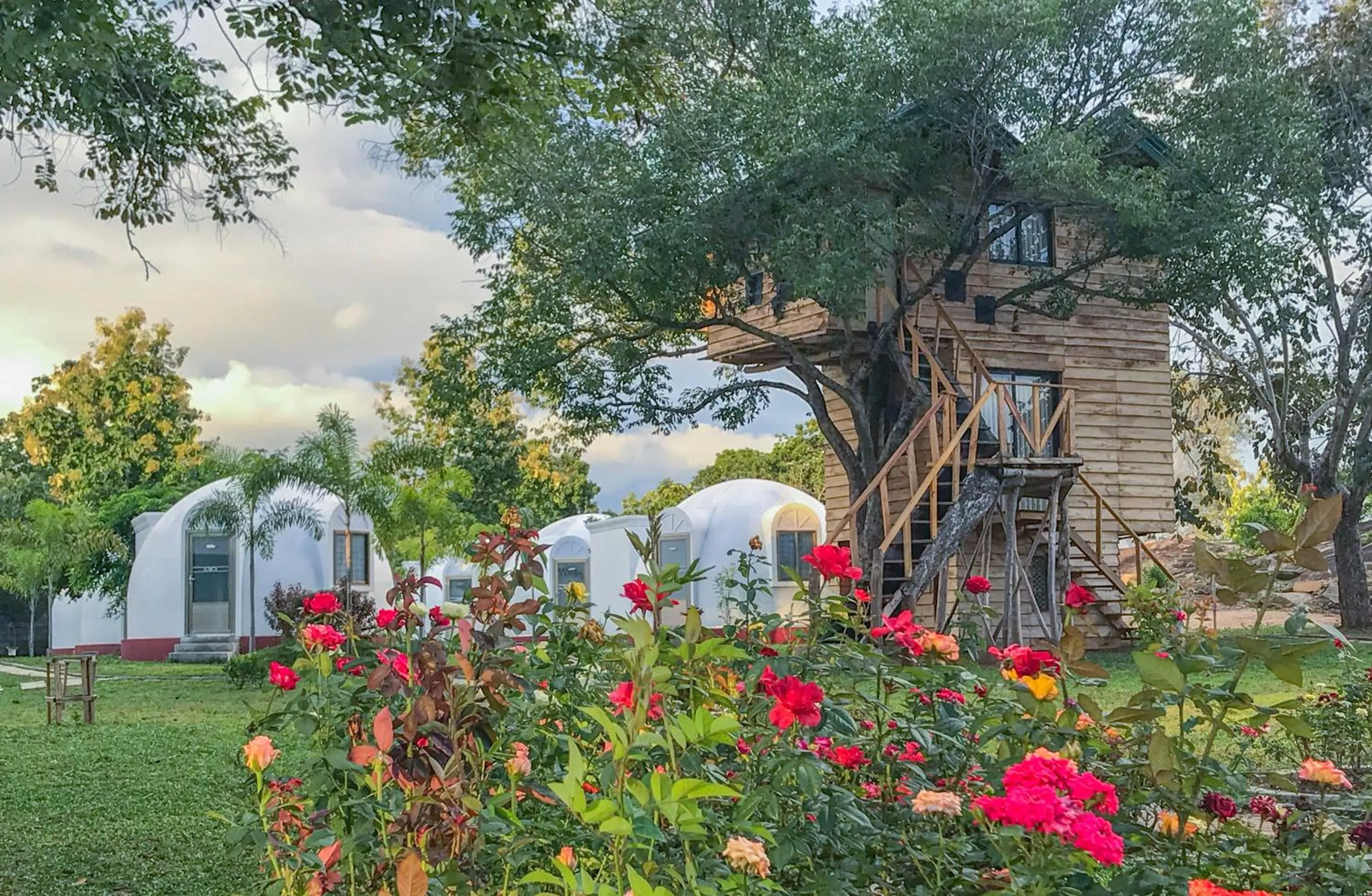 The Lion Kingdom Sigiriya