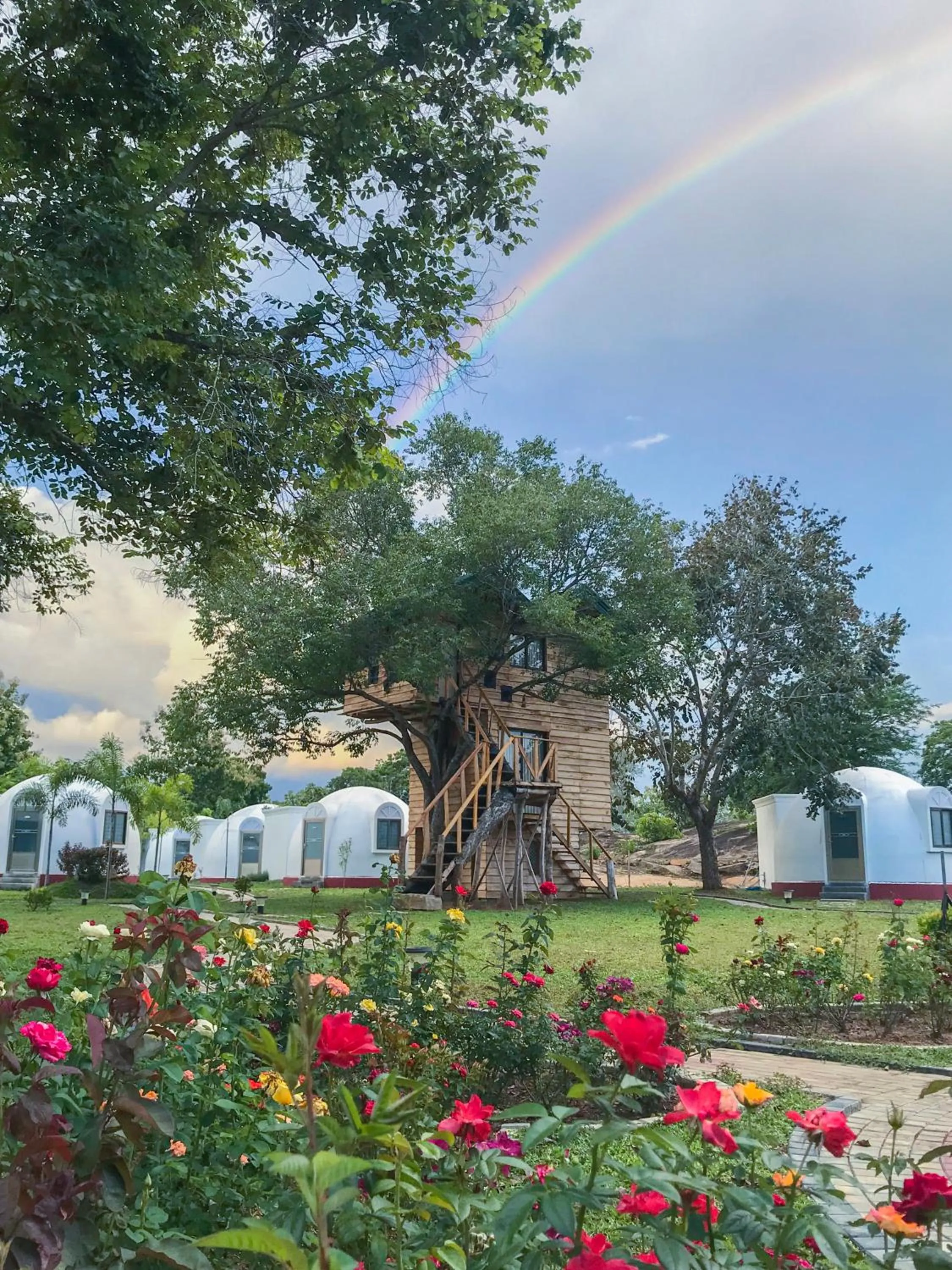 The Lion Kingdom Sigiriya