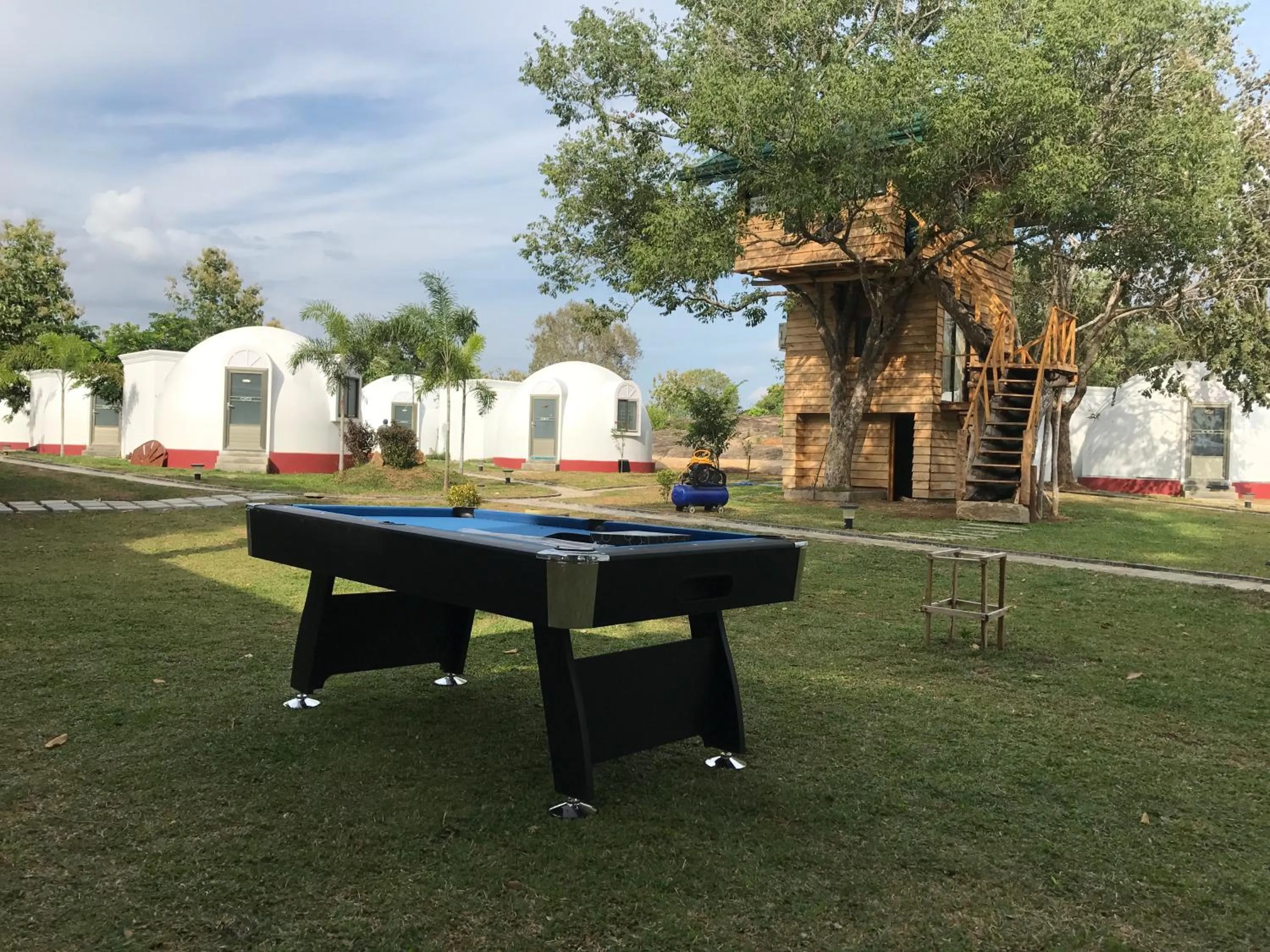 Garden in The Lion Kingdom Sigiriya