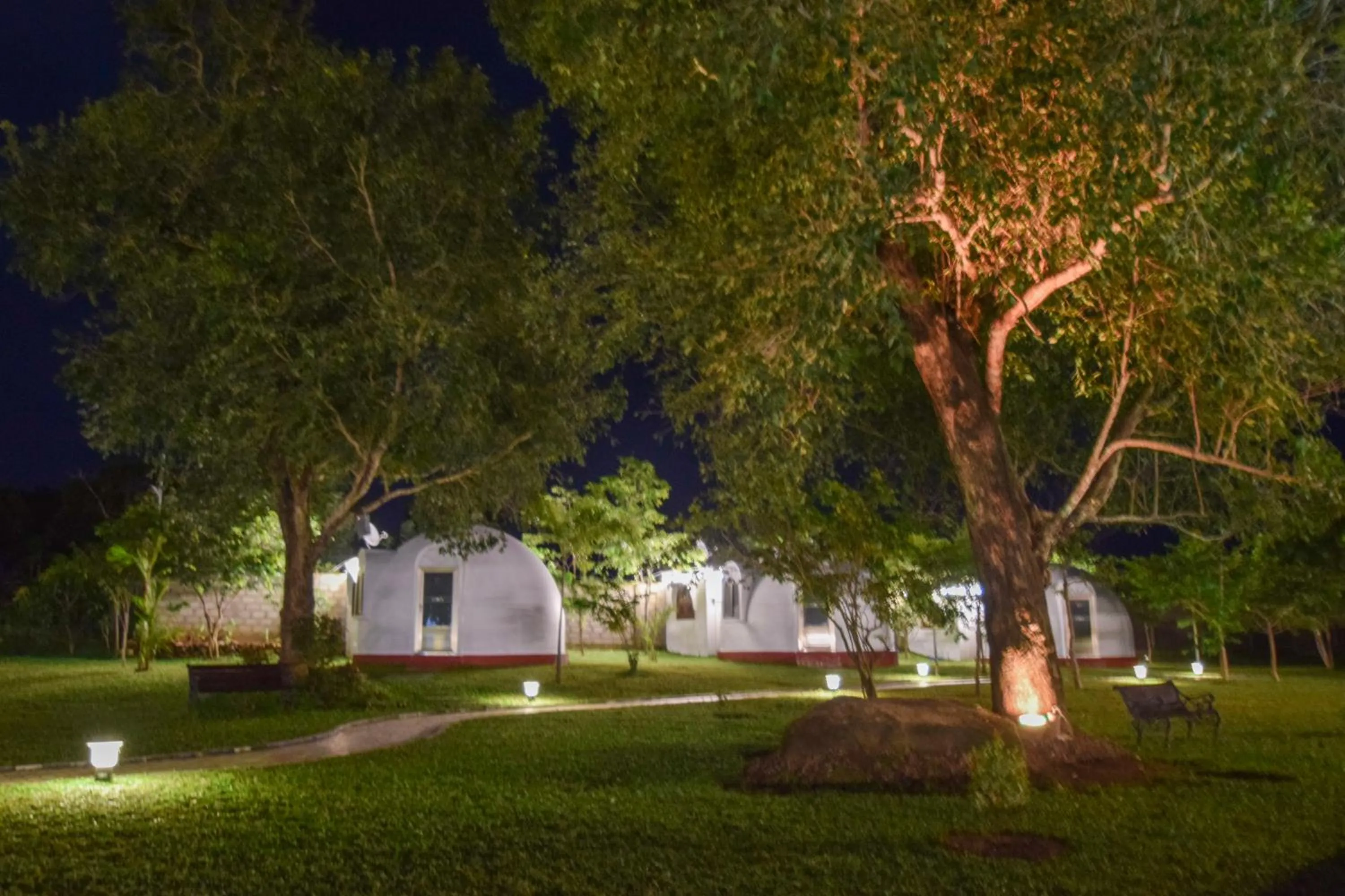 The Lion Kingdom Sigiriya