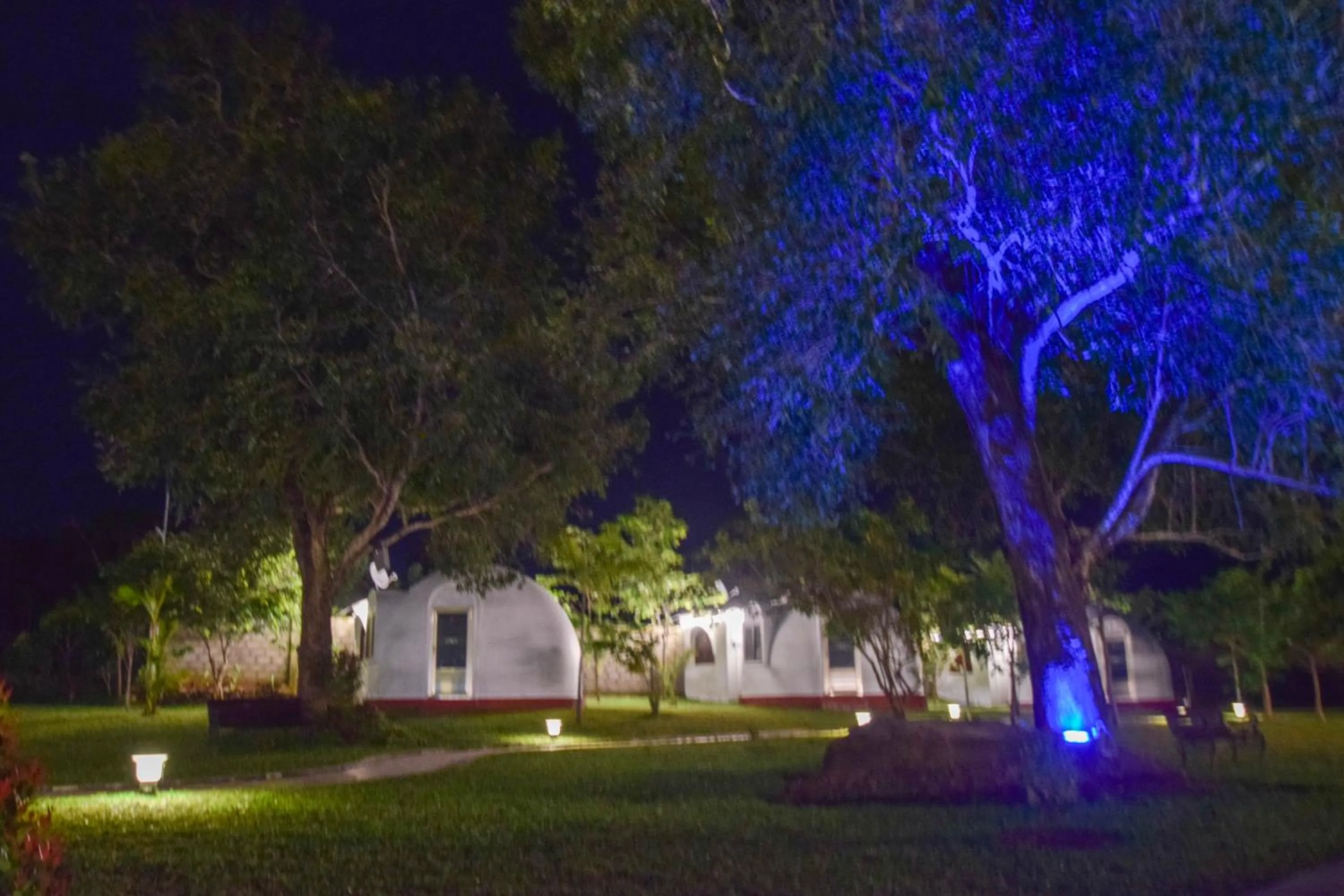 The Lion Kingdom Sigiriya