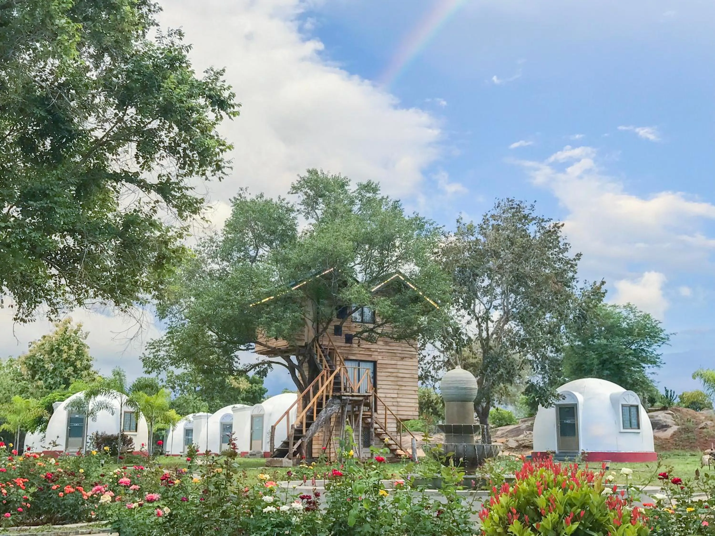 The Lion Kingdom Sigiriya