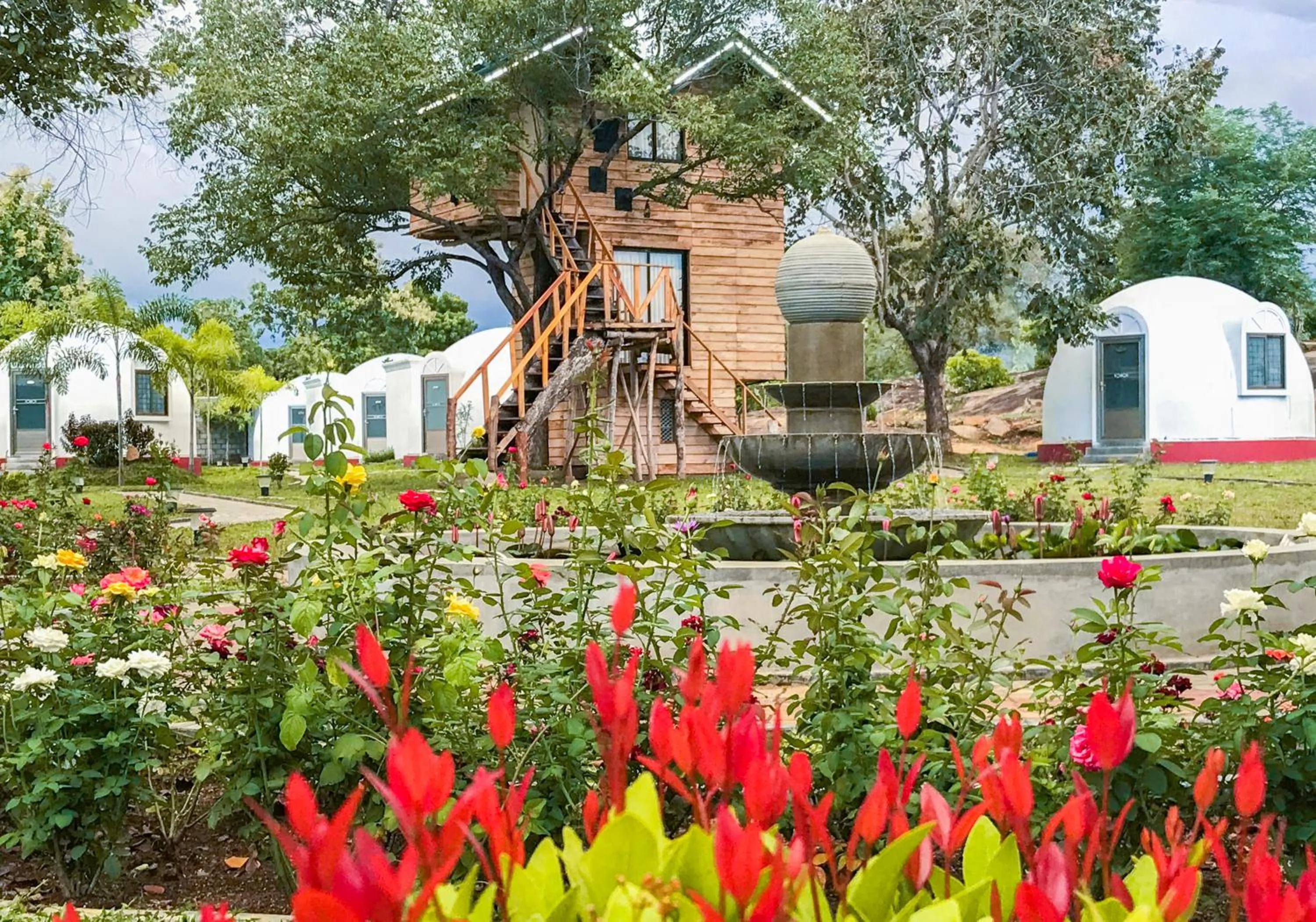 The Lion Kingdom Sigiriya