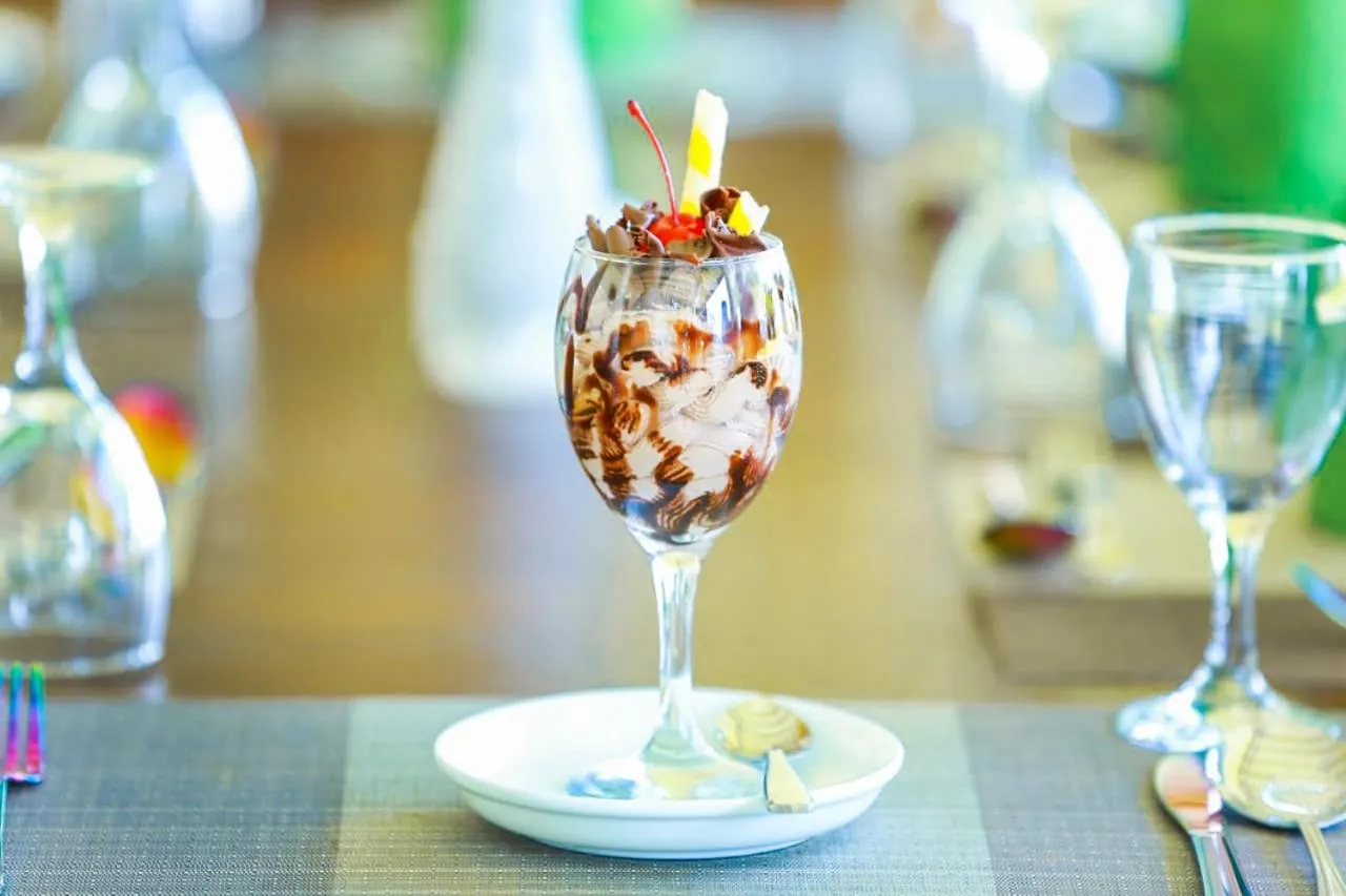 The Lion Kingdom Sigiriya