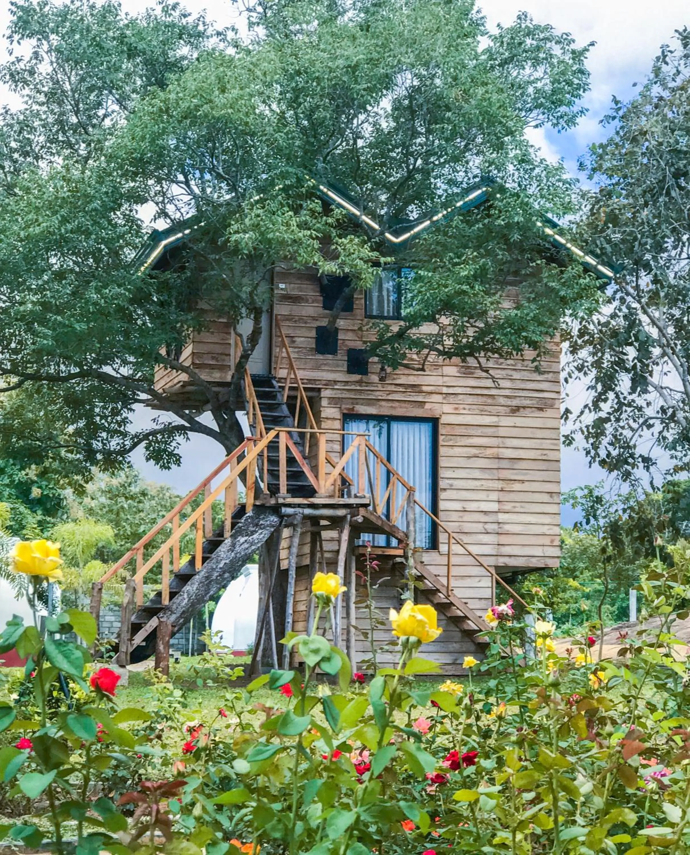 The Lion Kingdom Sigiriya
