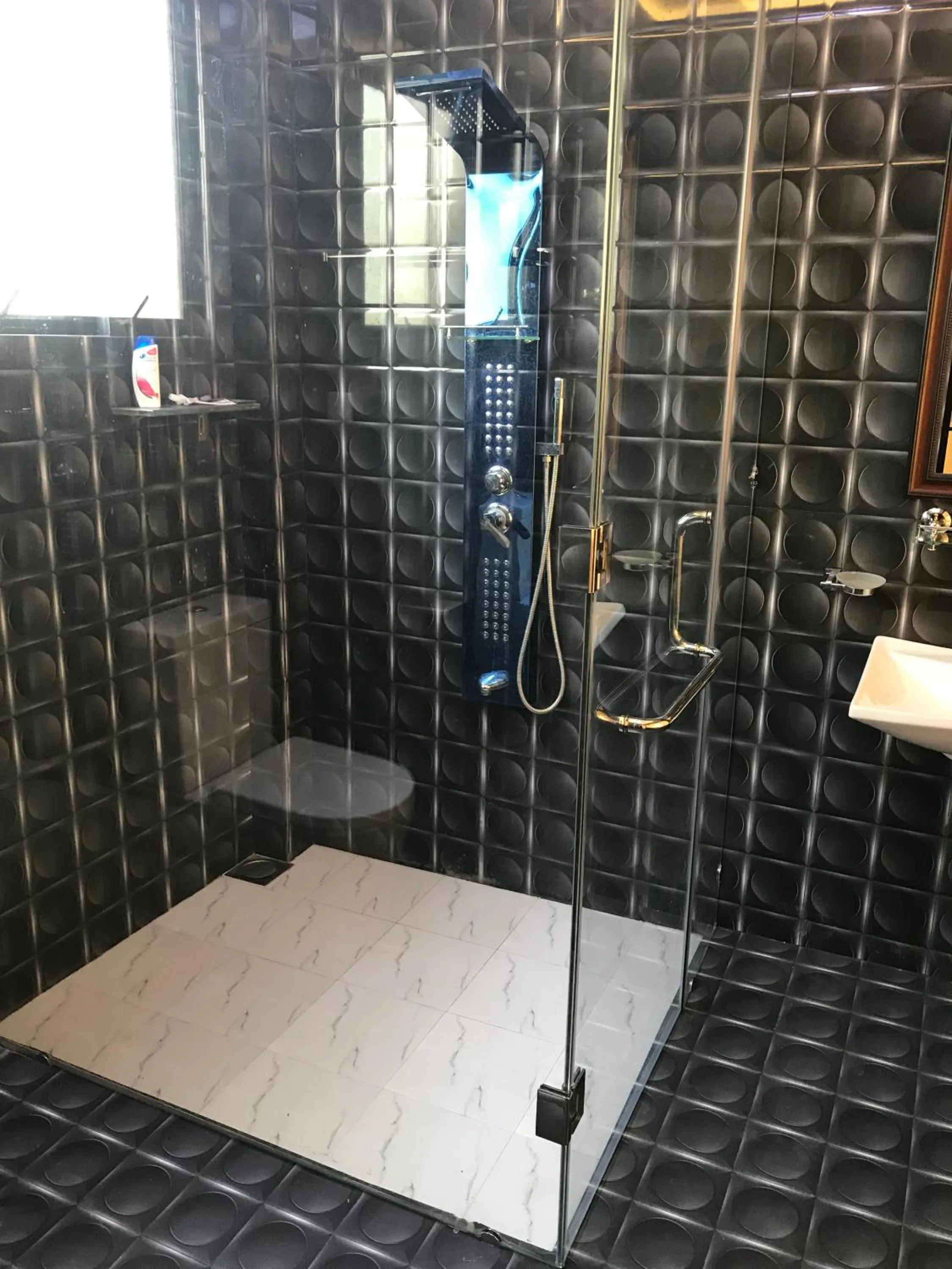 The Lion Kingdom Sigiriya