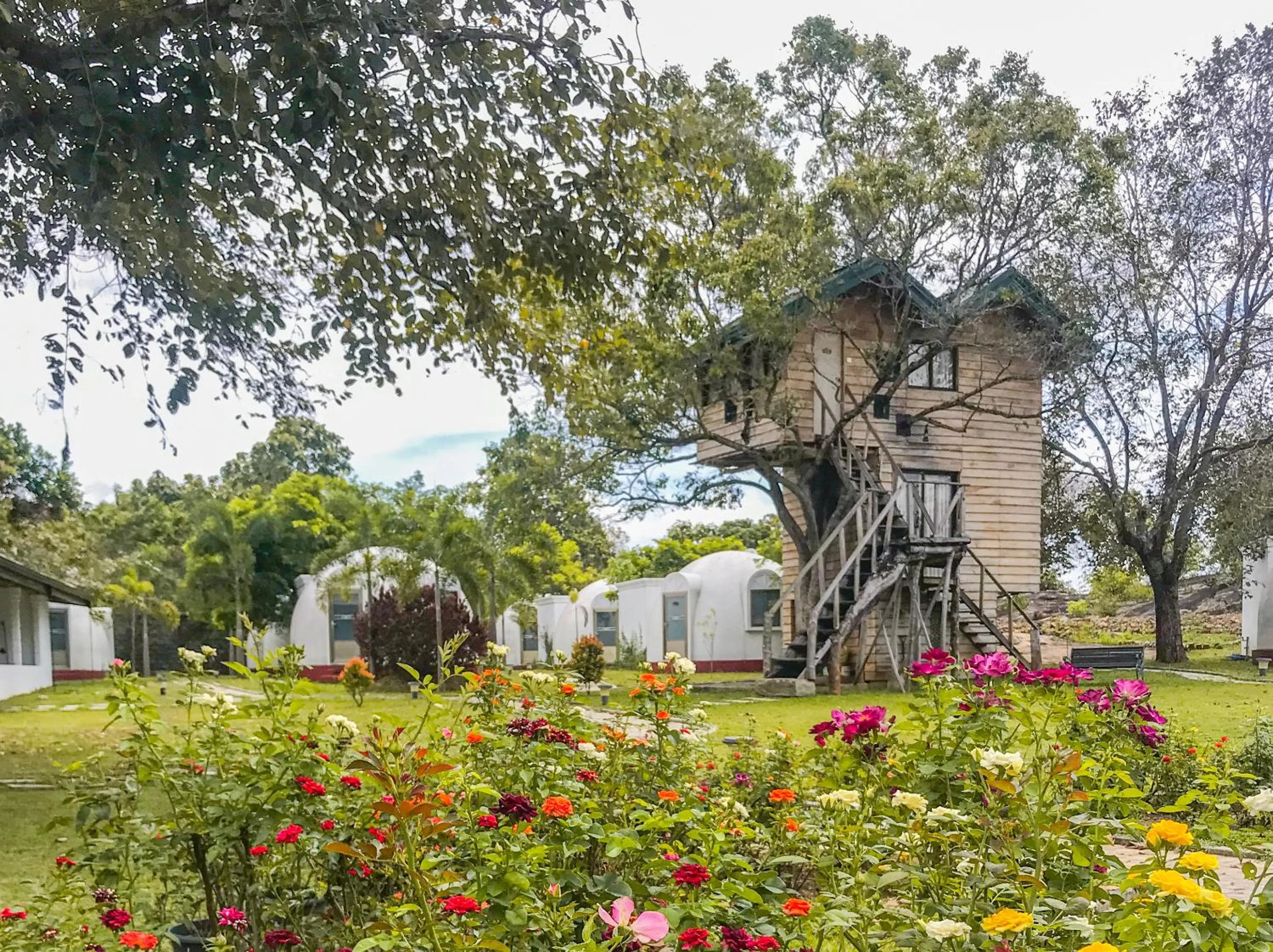 The Lion Kingdom Sigiriya