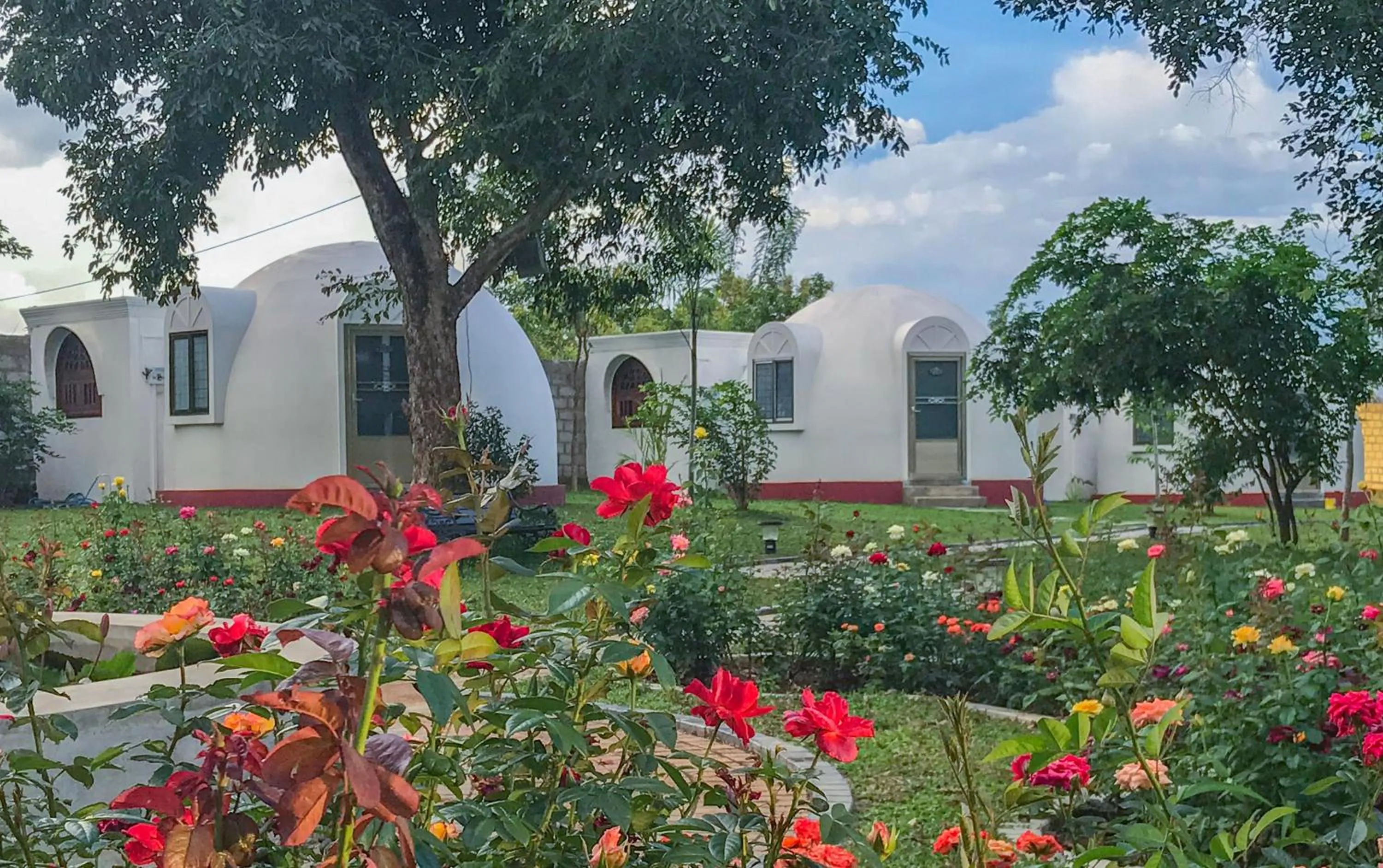 The Lion Kingdom Sigiriya