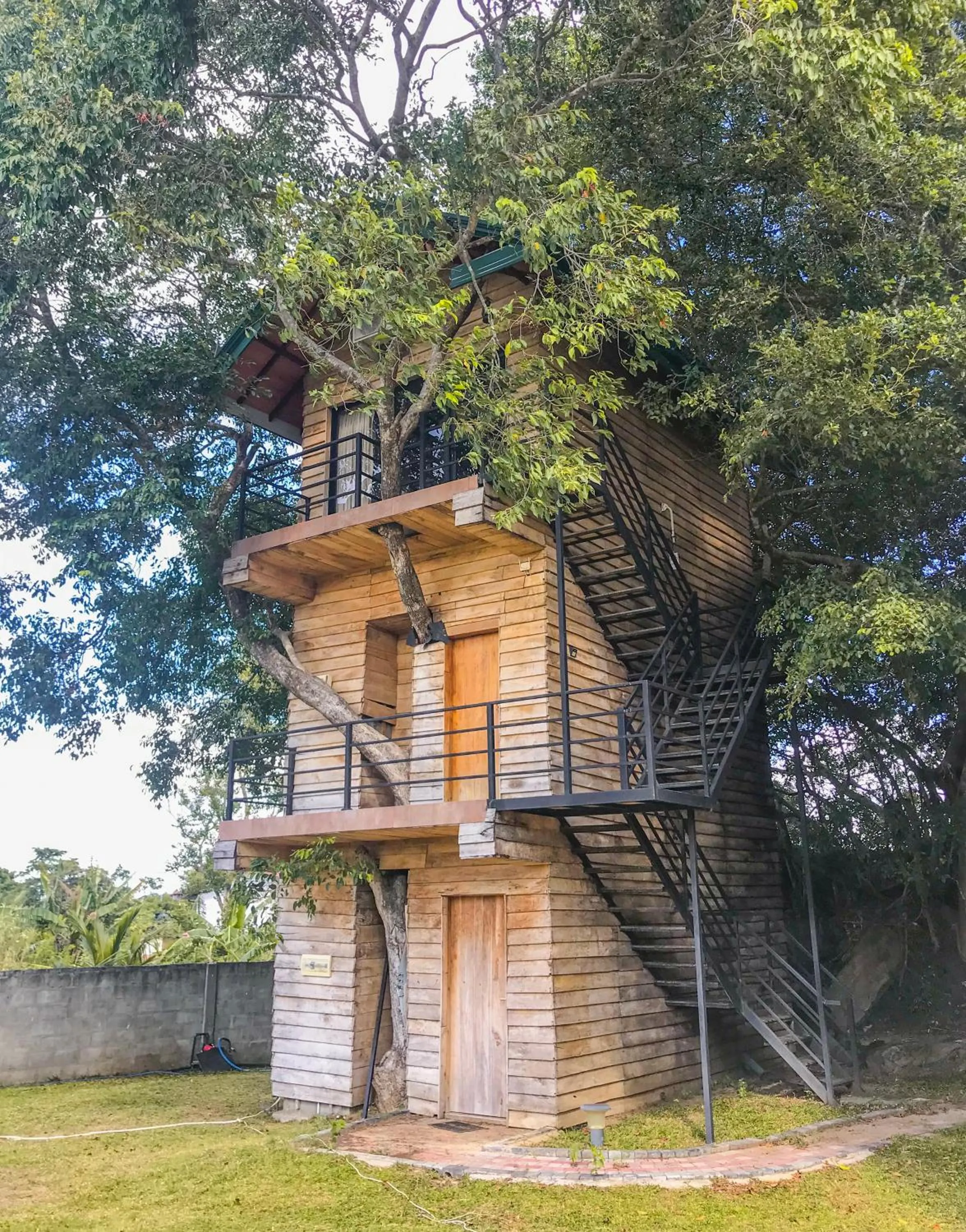 The Lion Kingdom Sigiriya