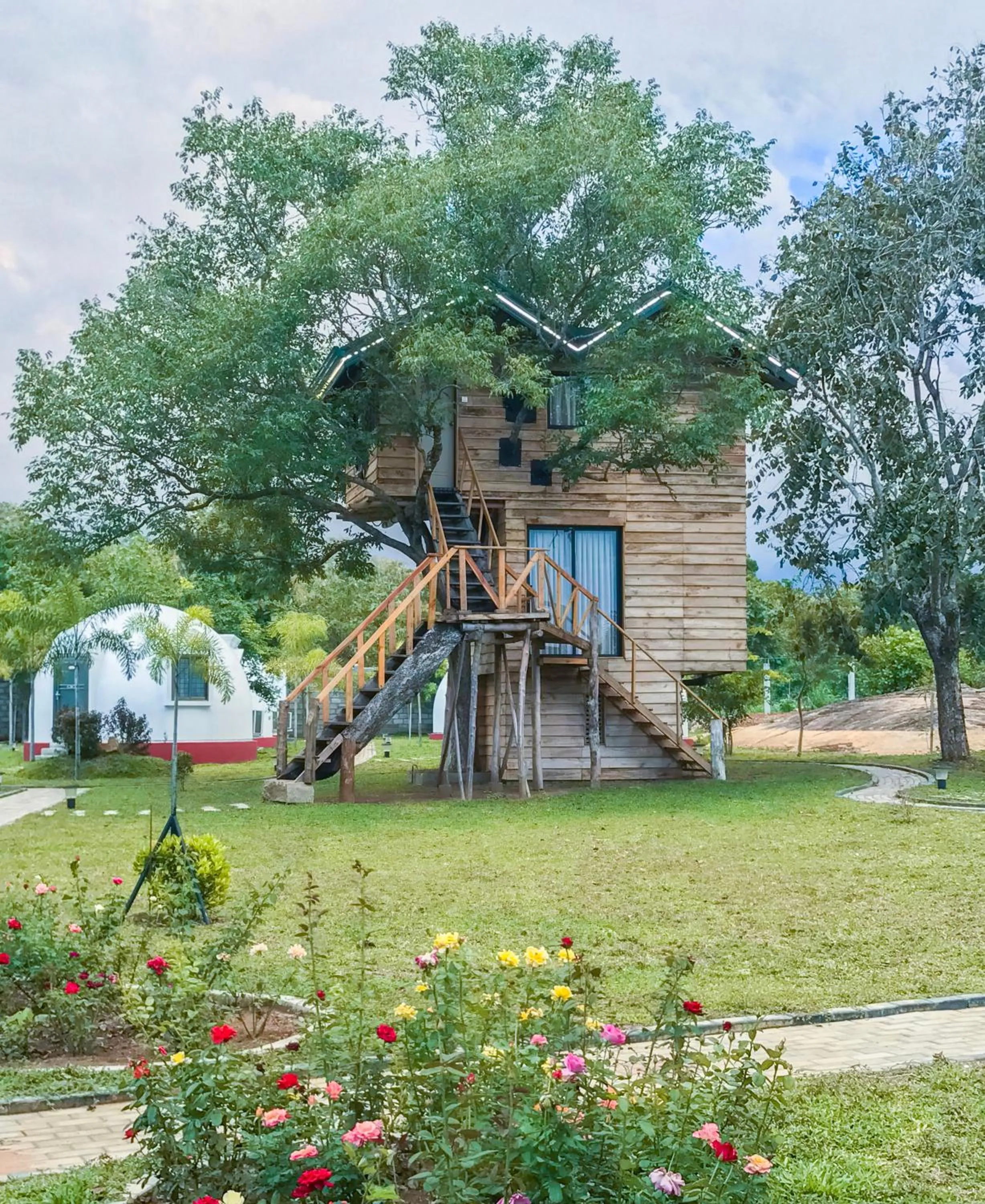The Lion Kingdom Sigiriya