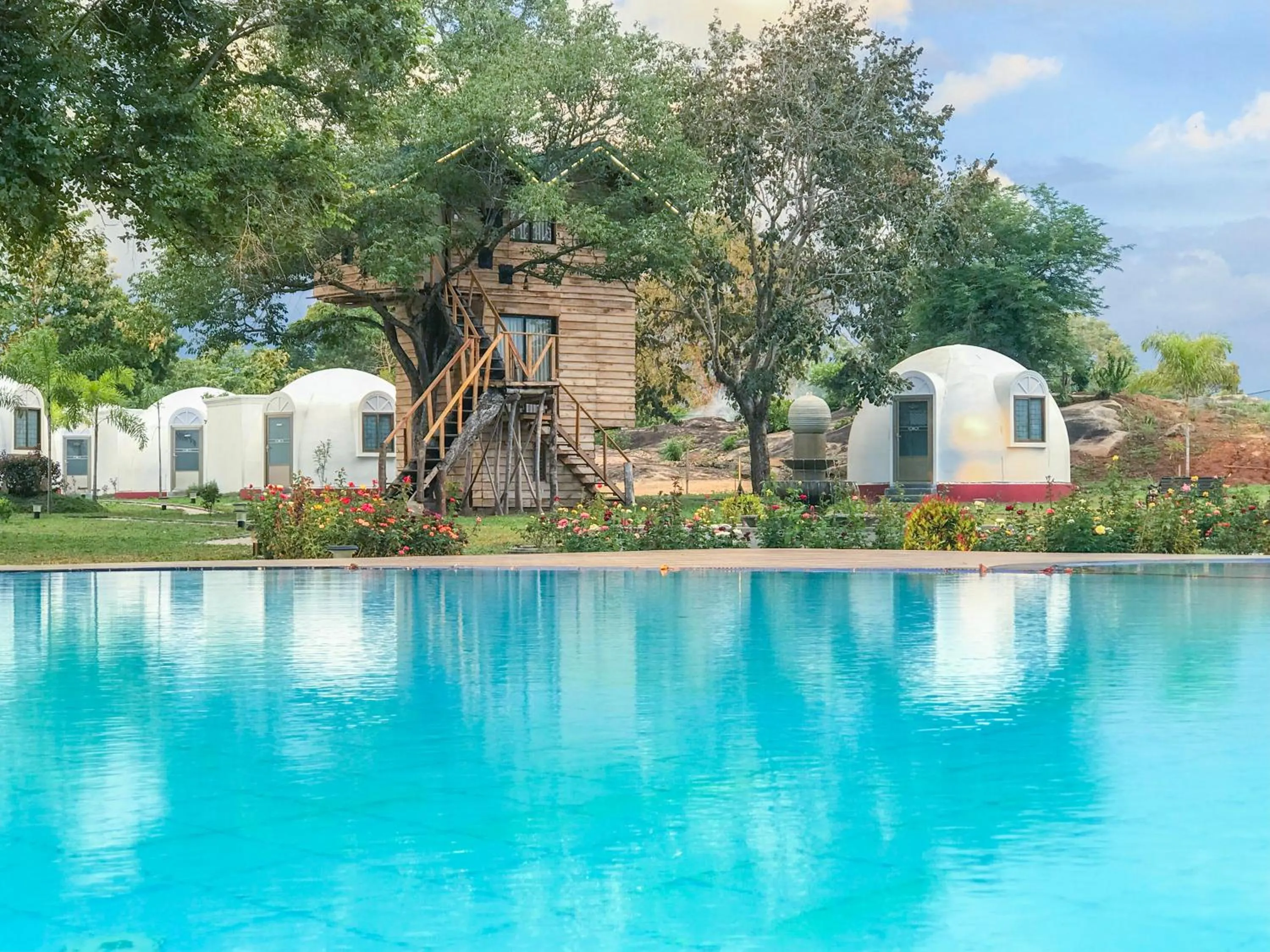 The Lion Kingdom Sigiriya