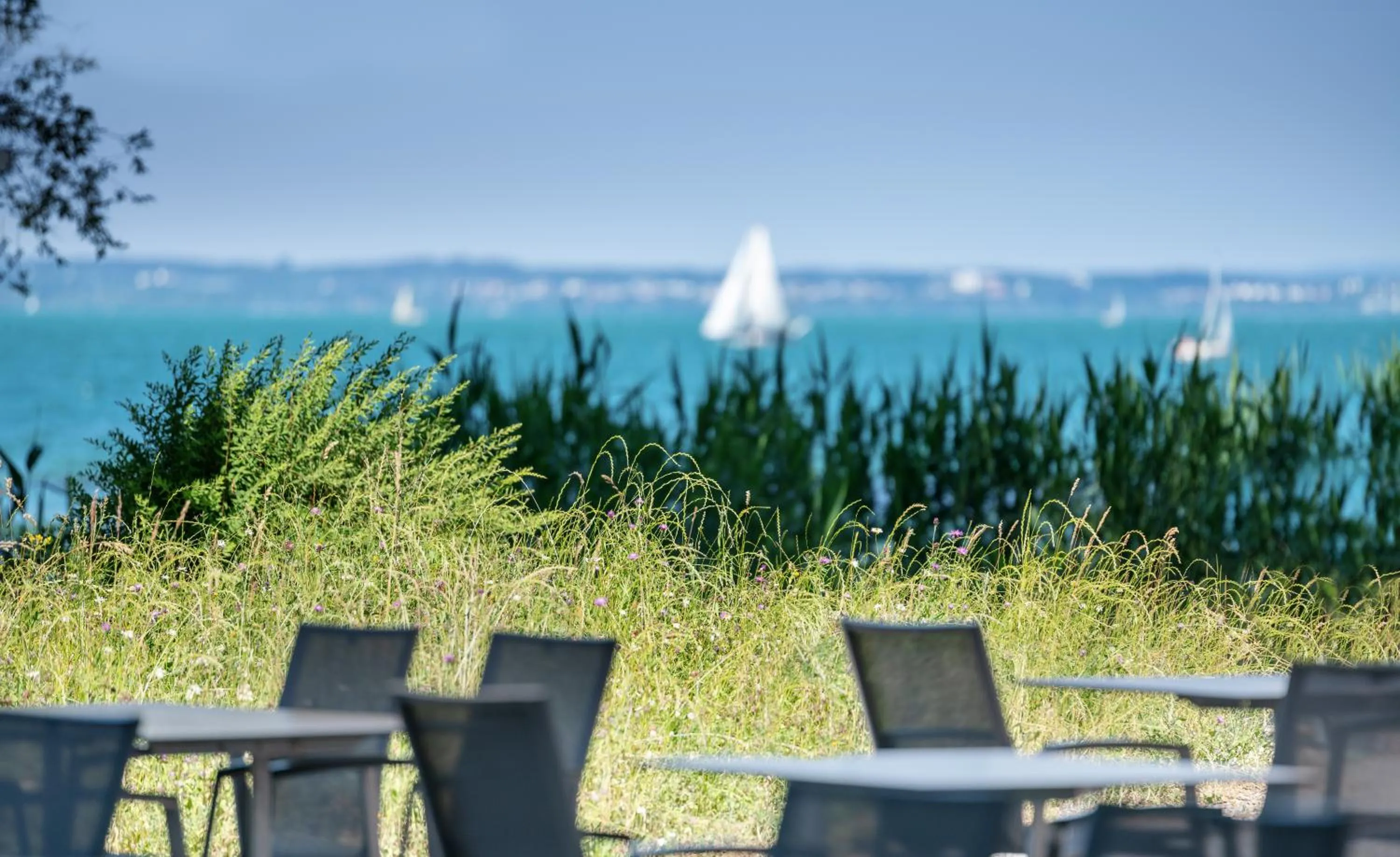 Restaurant/places to eat in Hotel Restaurant Sokrates