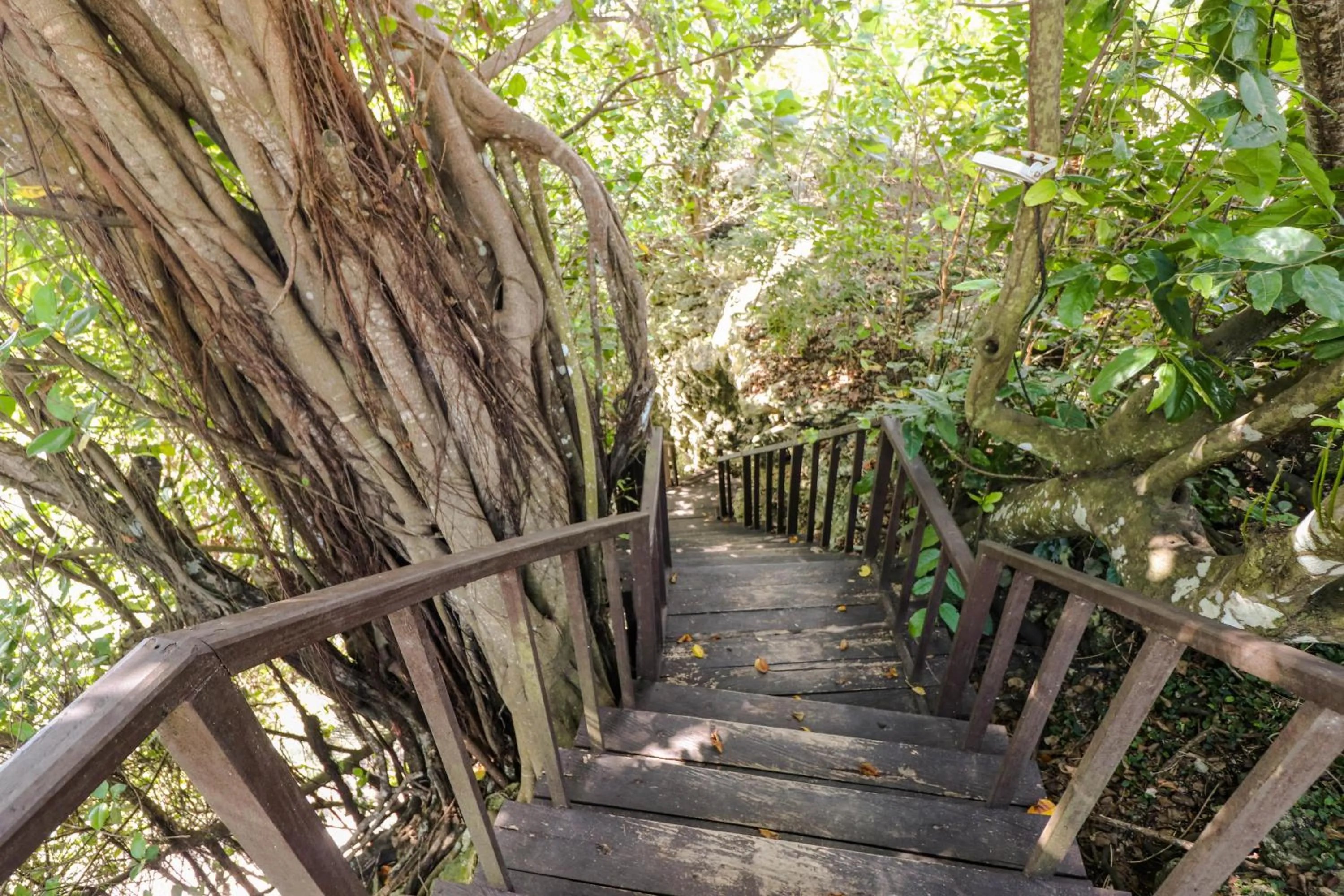 Amorita Resort Bohol