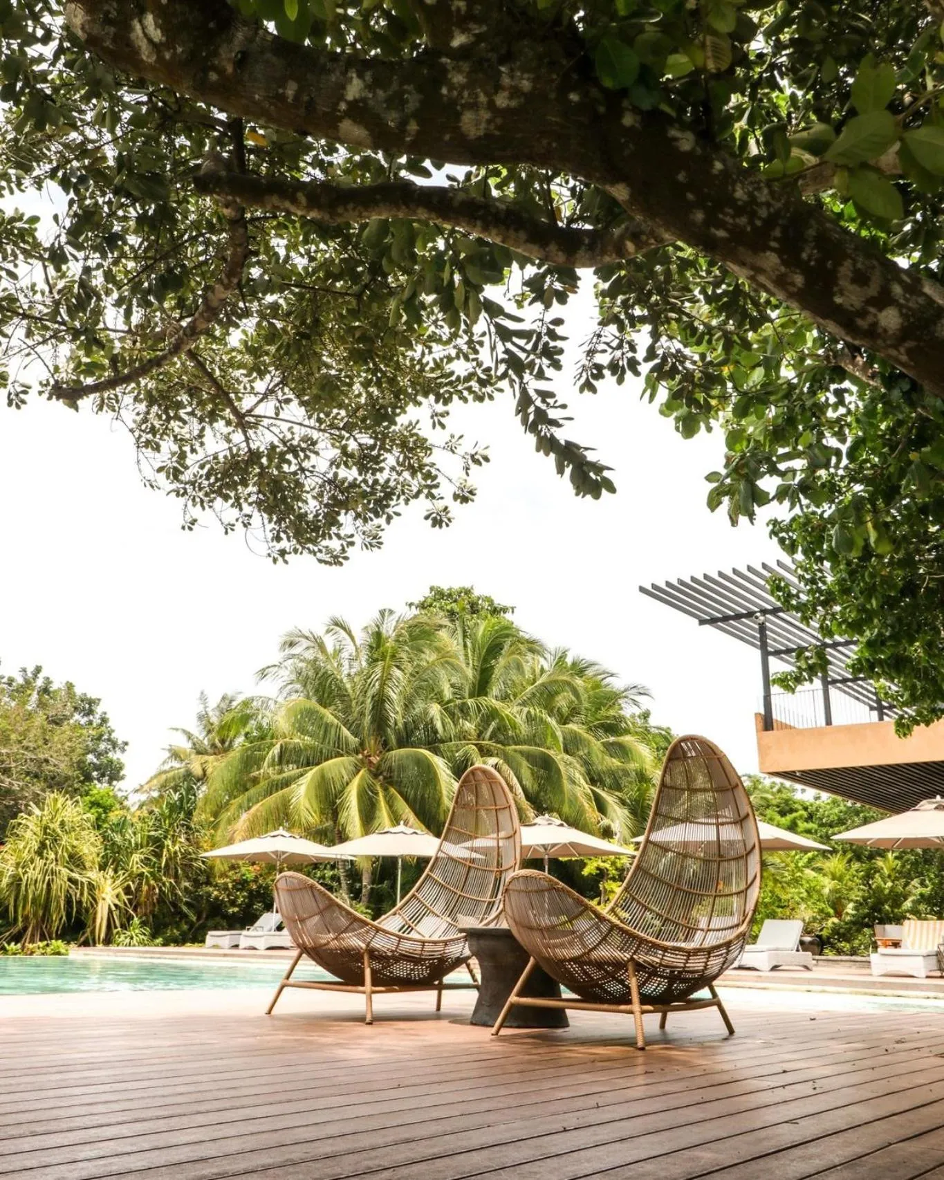 Amorita Resort Bohol