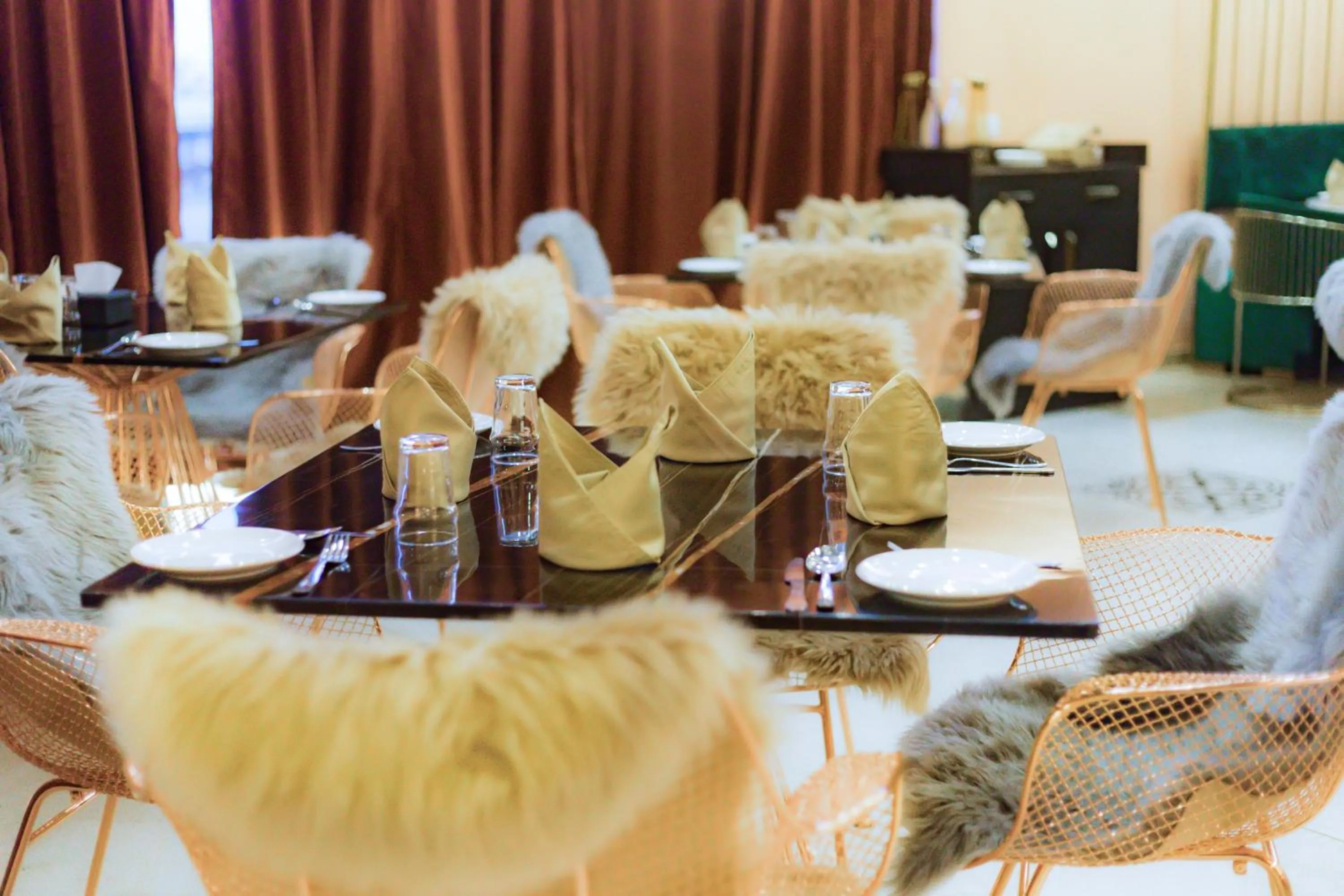 Restaurant/places to eat in Little Mastiff Moshi by OTHPL