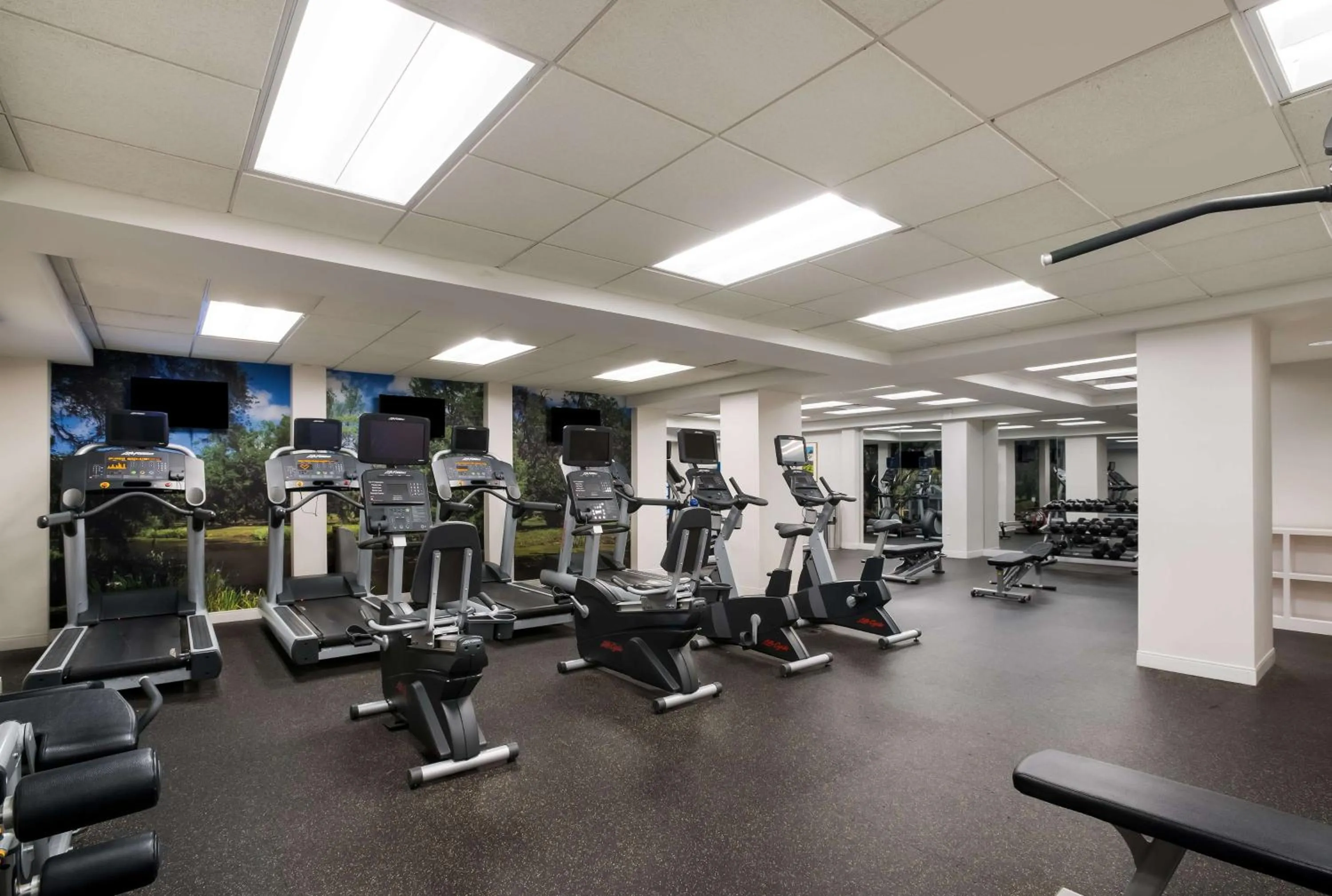 Fitness centre/facilities in The Royal Sonesta New Orleans