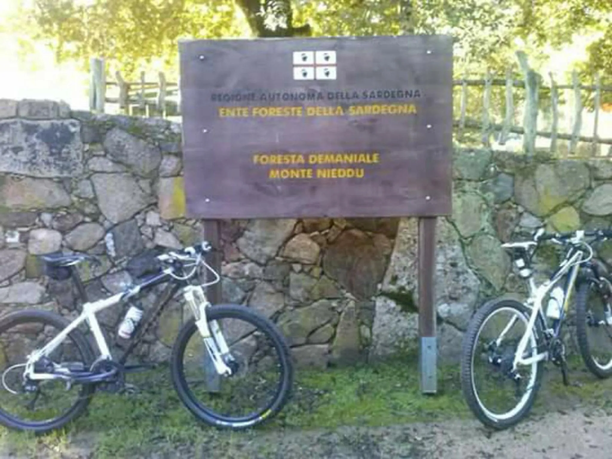 Cycling in B&B Il Vigneto