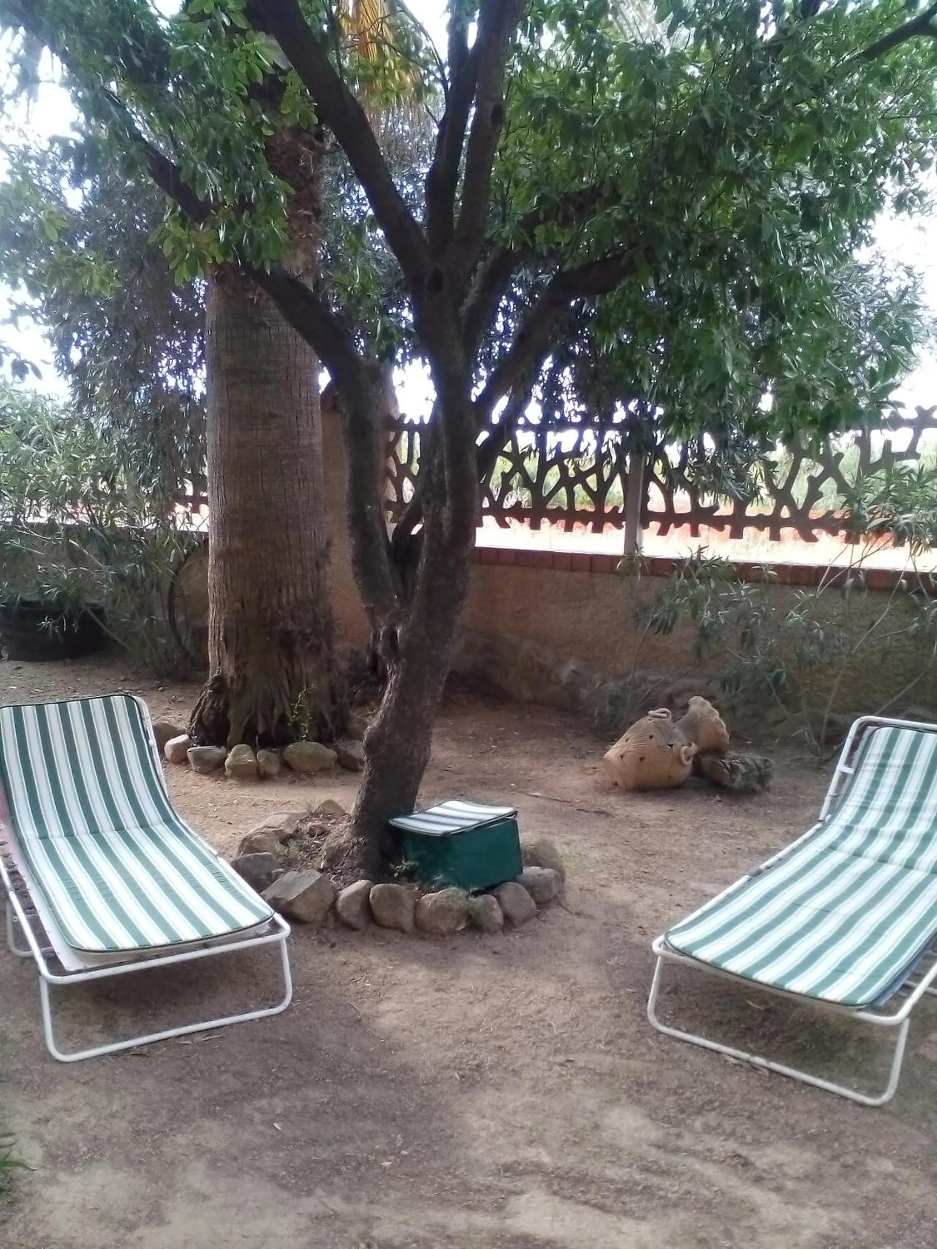 Garden in B&B Il Vigneto