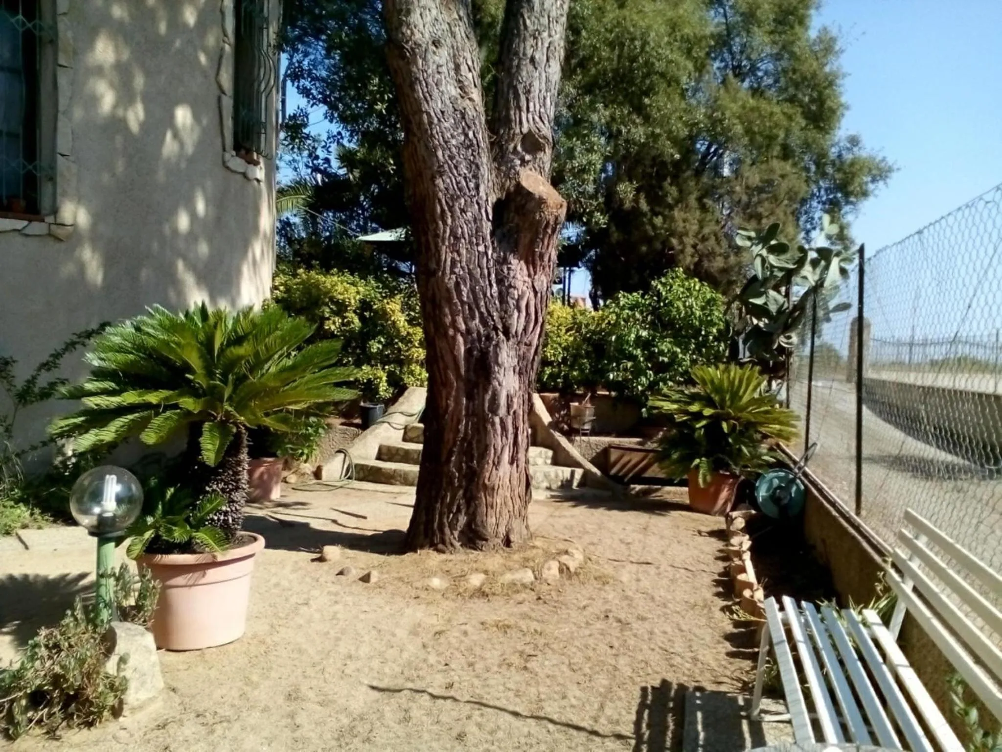 Garden in B&B Il Vigneto