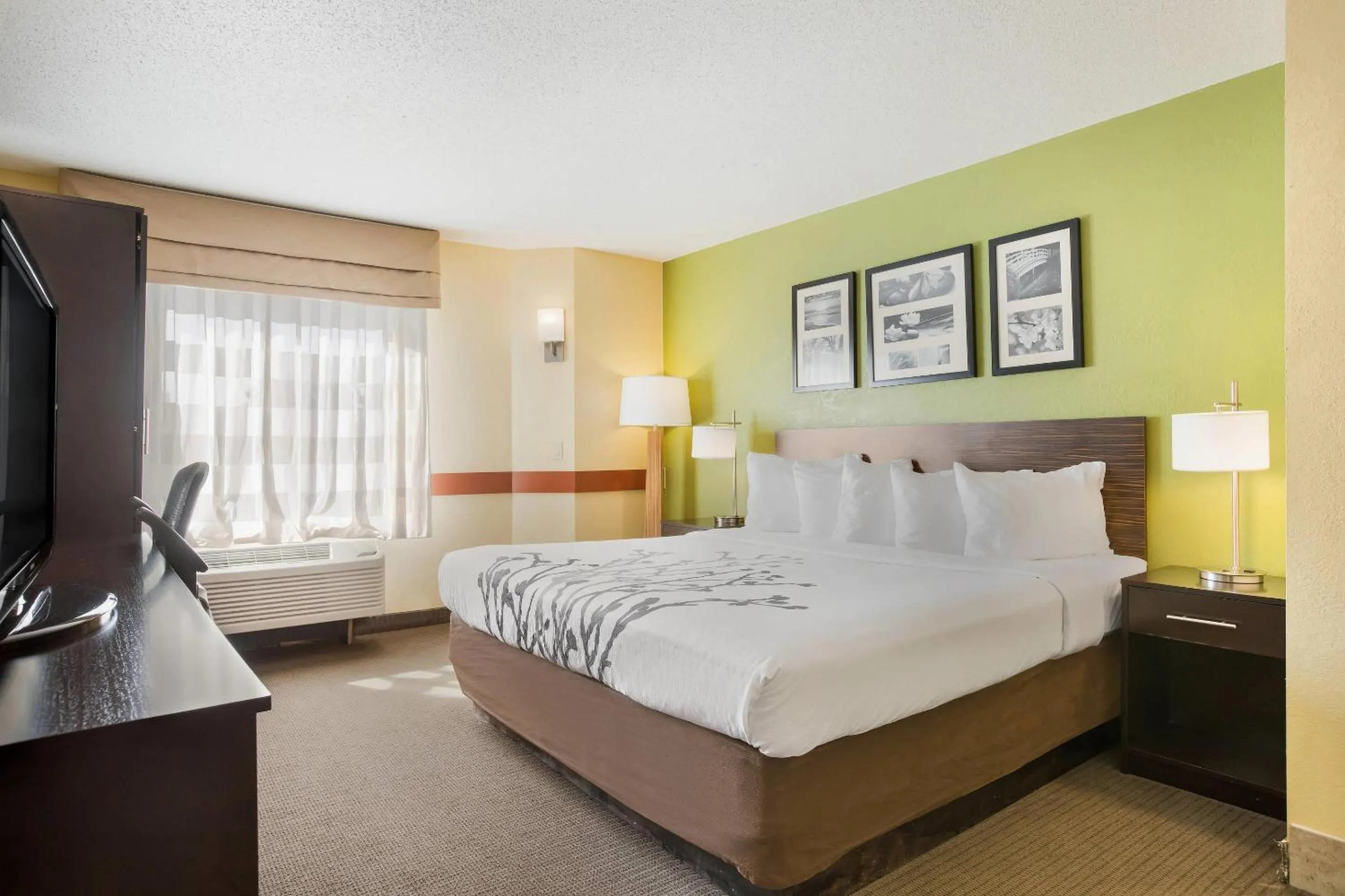 Bedroom, Bed in Sleep Inn & Suites Grand Rapids Southeast - Kentwood