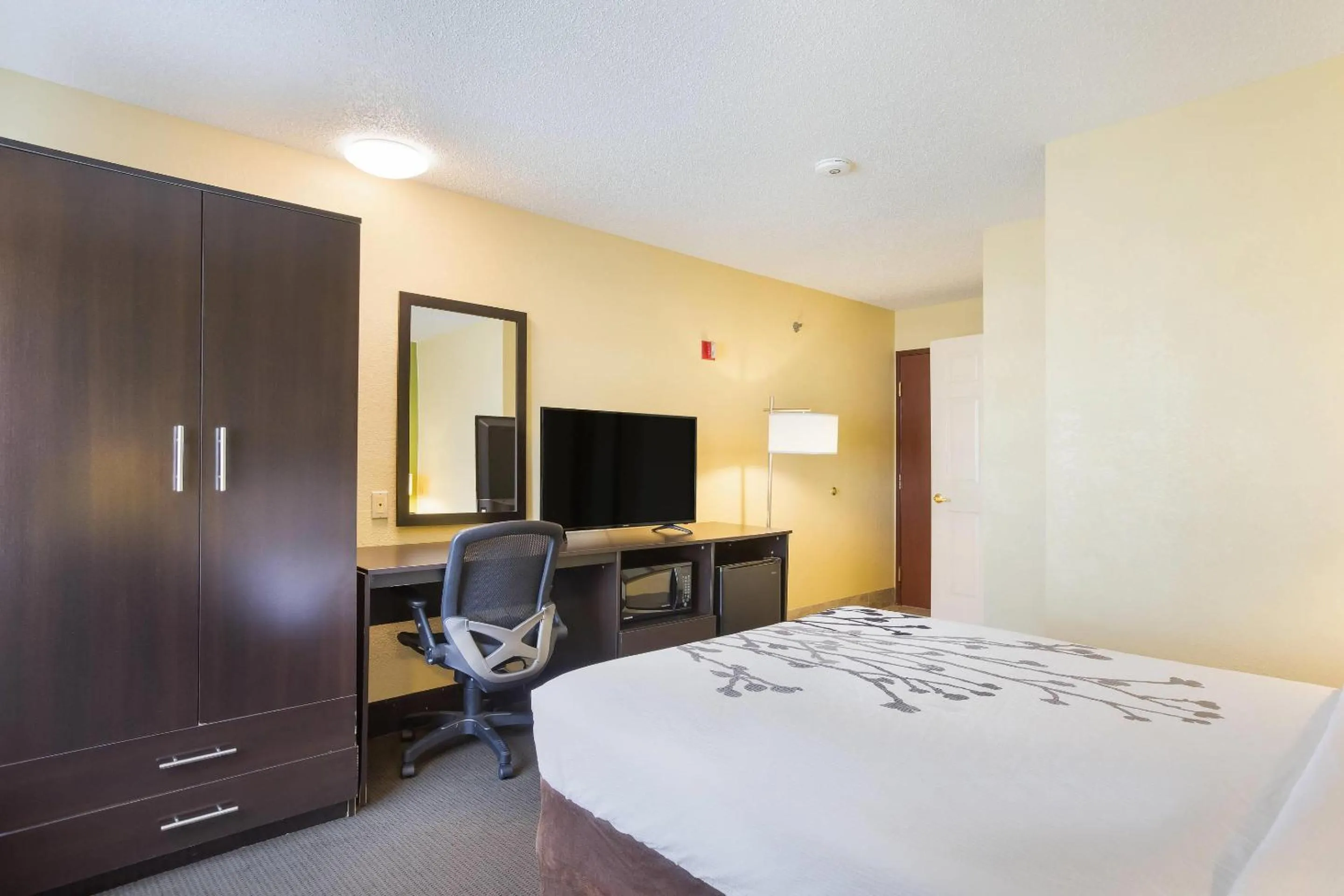 Bedroom, Bed in Sleep Inn & Suites Grand Rapids Southeast - Kentwood