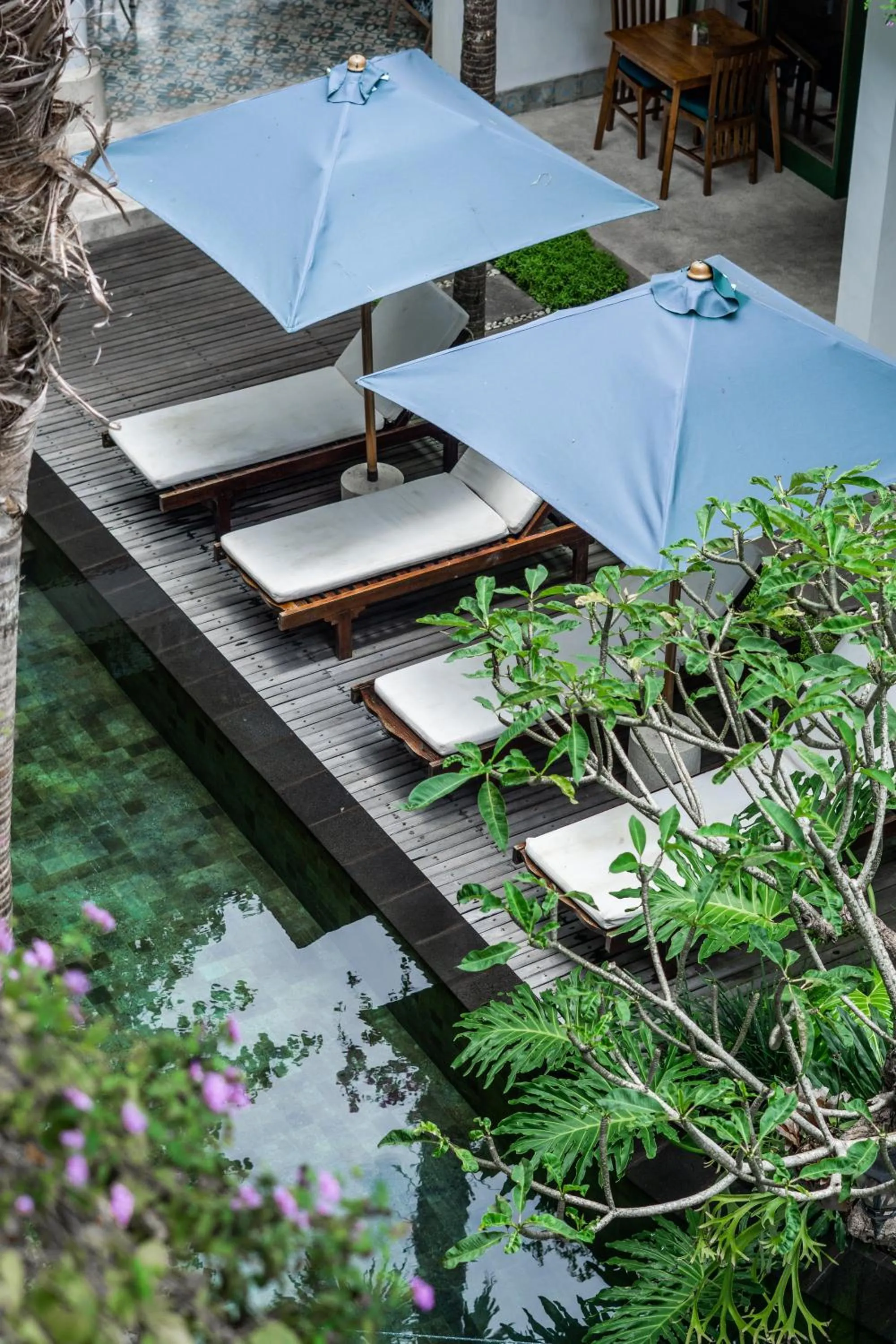 Swimming pool in Sabana Ubud