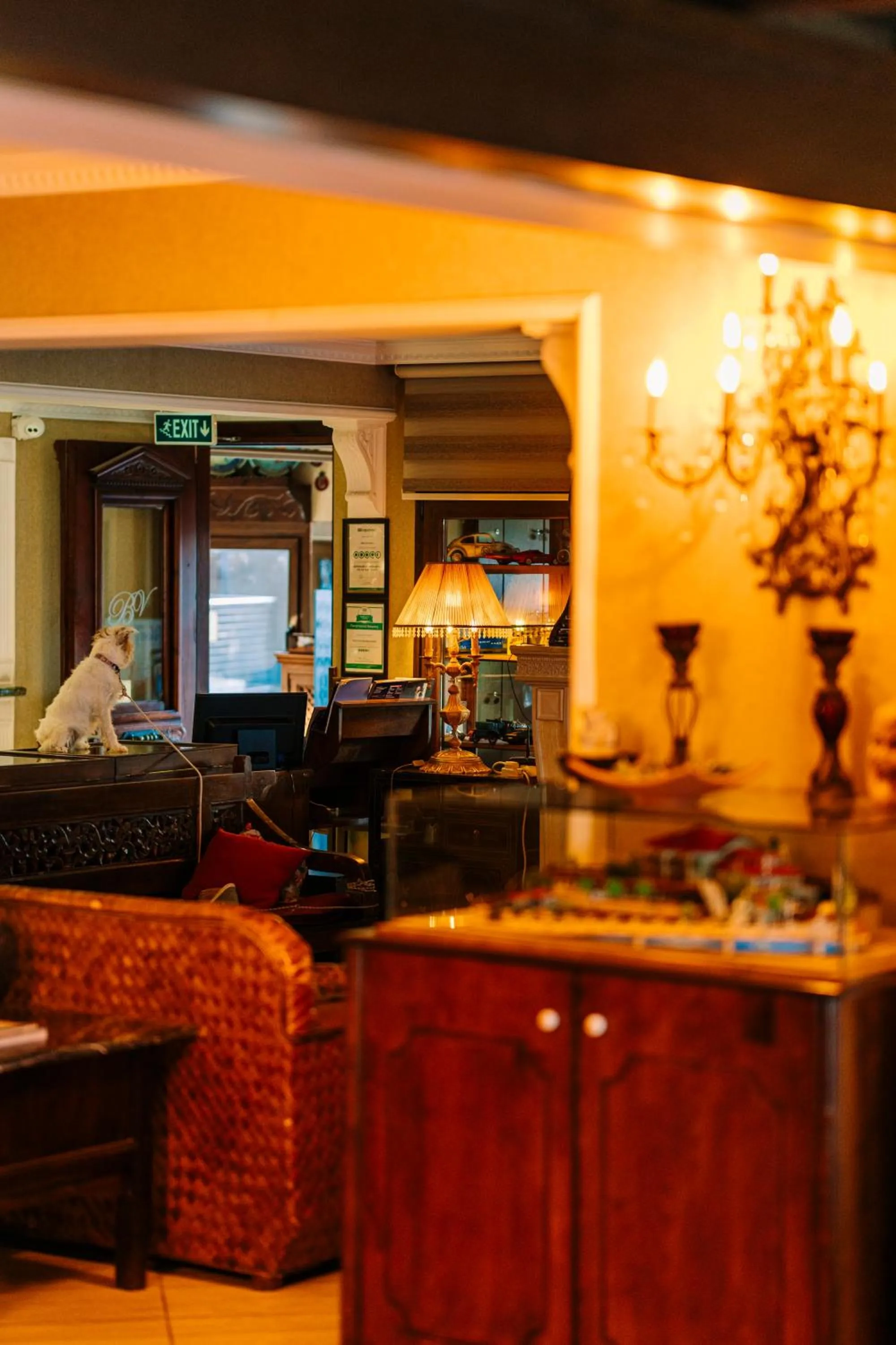 Bella View Art Boutique Hotel