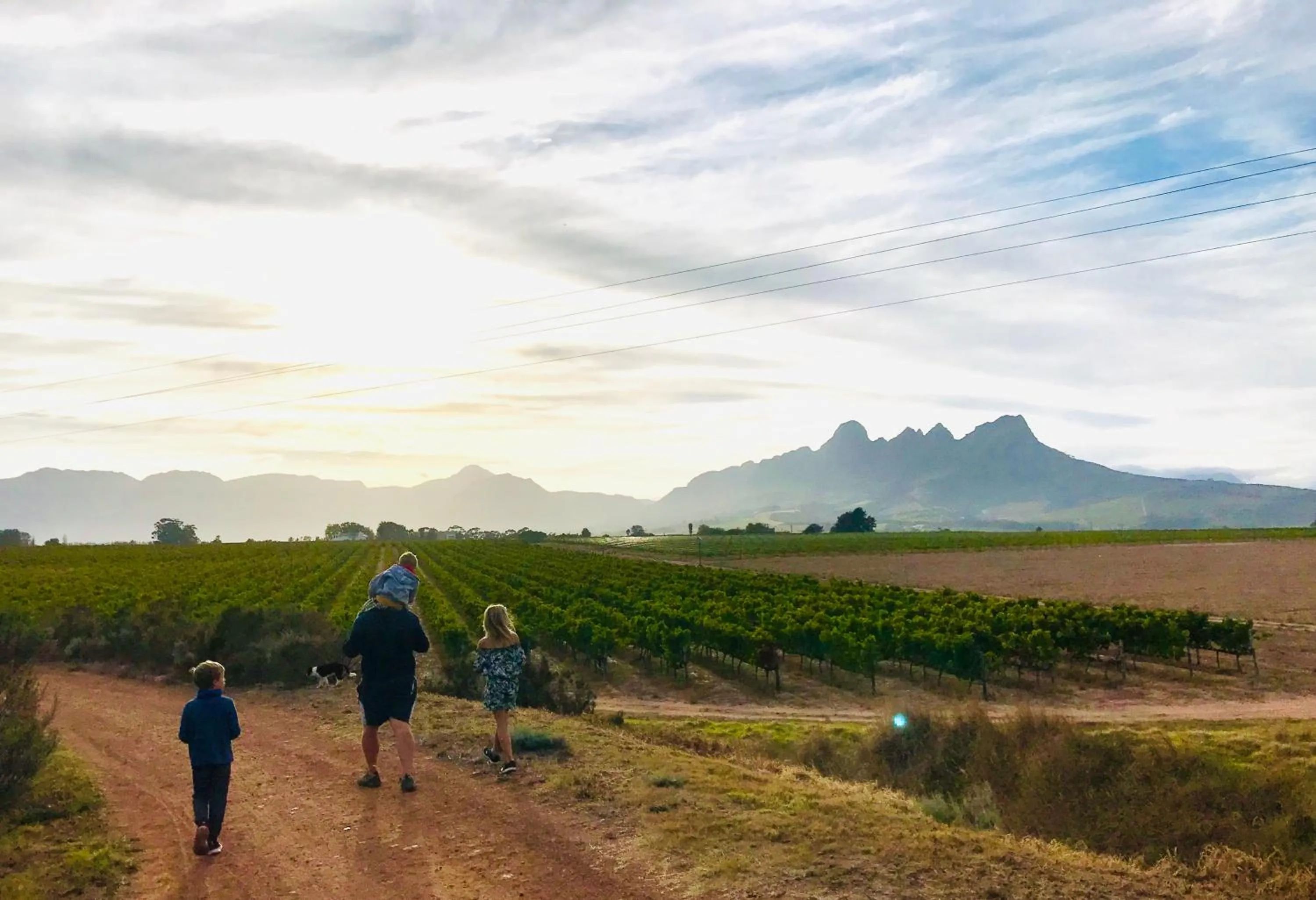 View (from property/room) in Klein Welmoed Luxury Guest House