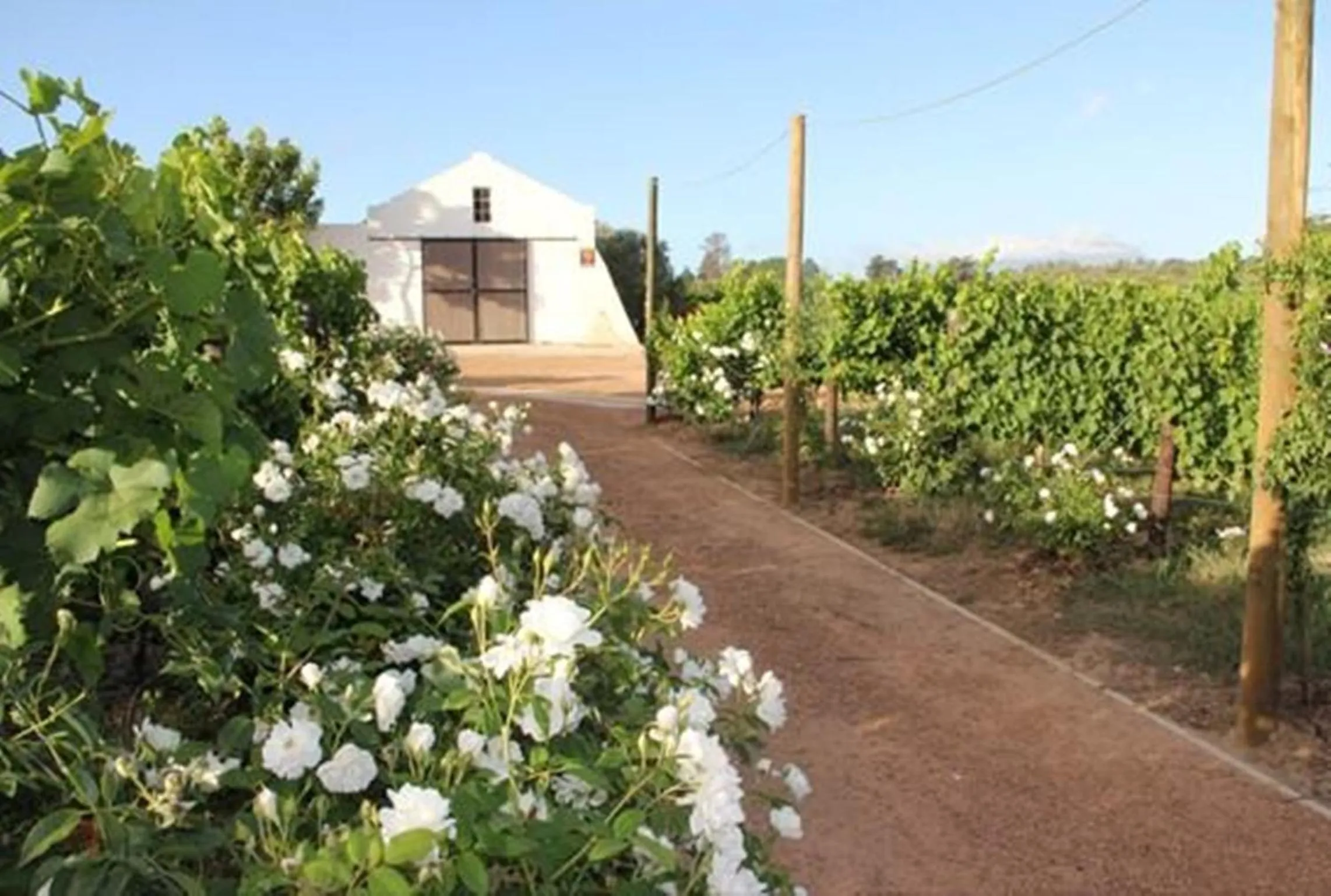 Property building in Klein Welmoed Luxury Guest House