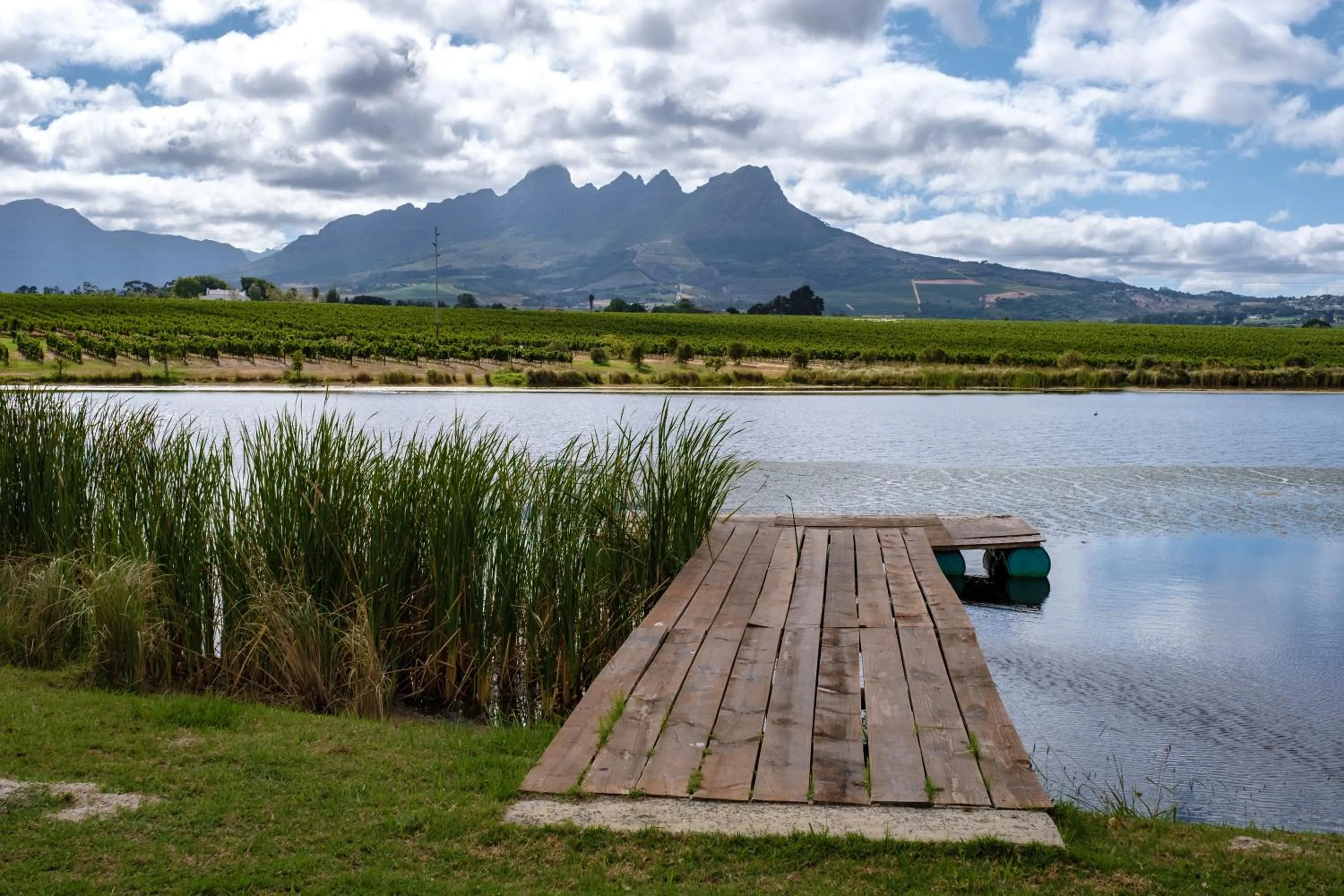 Lake view in Klein Welmoed Luxury Guest House