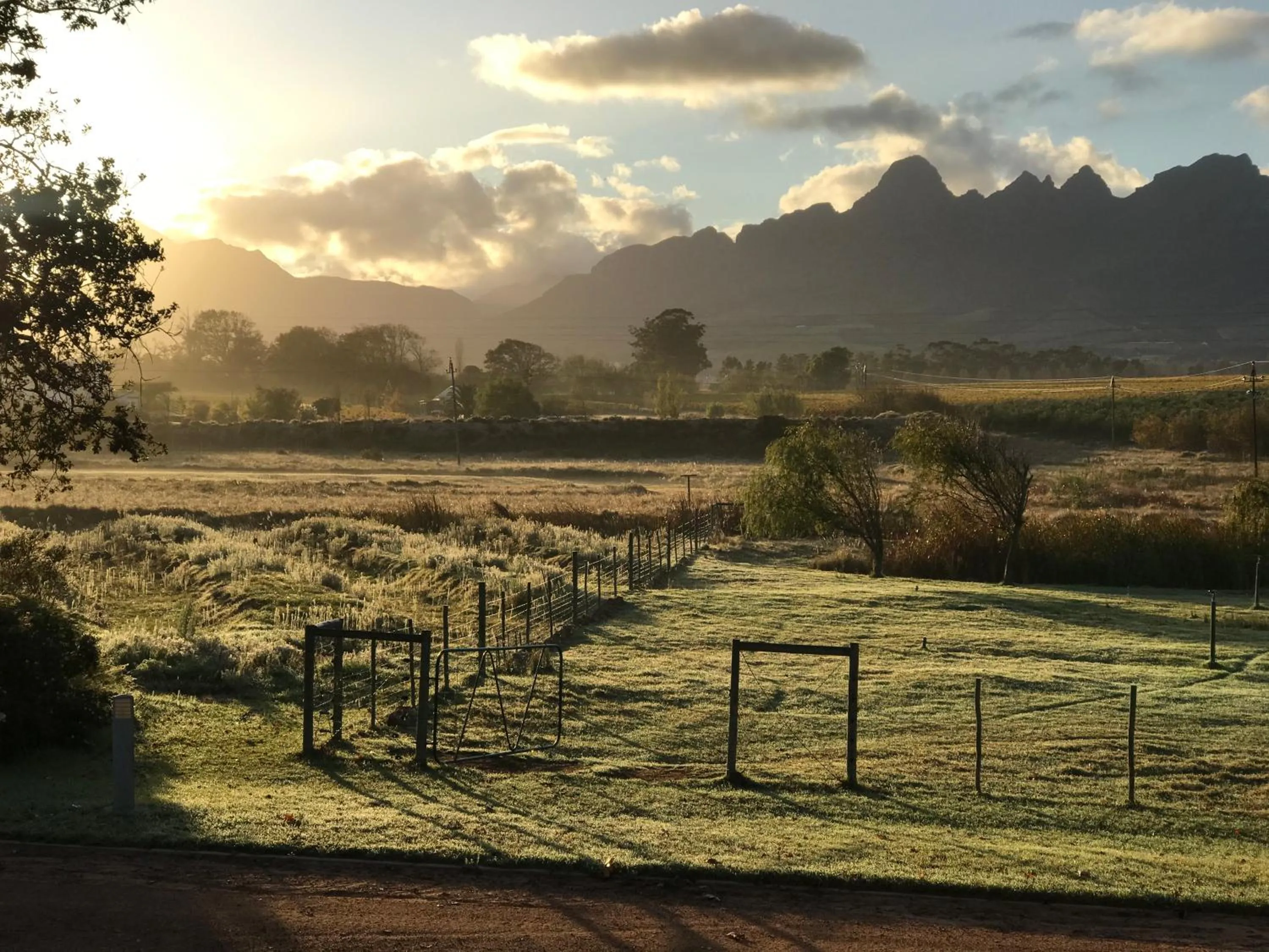 View (from property/room) in Klein Welmoed Luxury Guest House