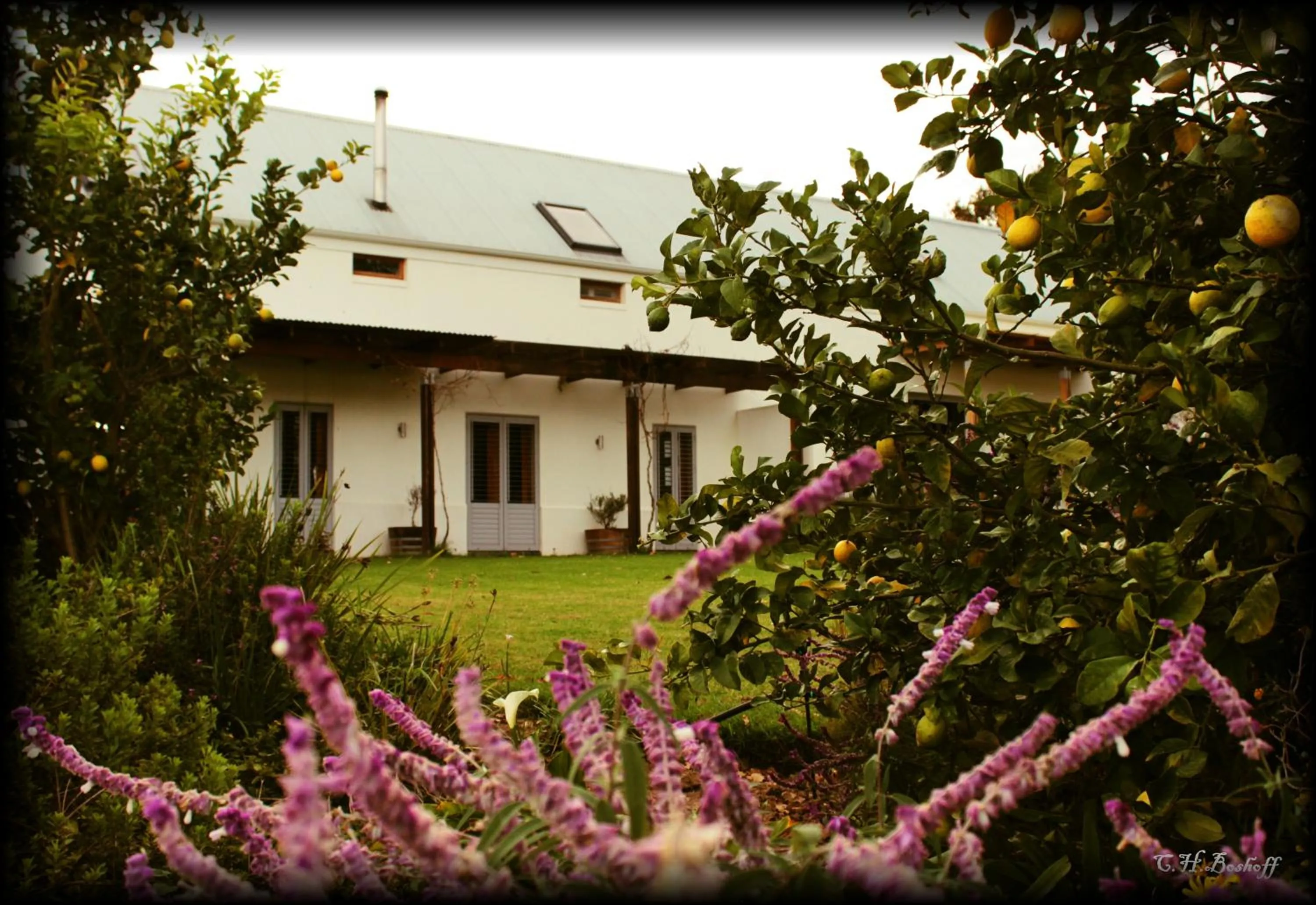Garden in Klein Welmoed Luxury Guest House