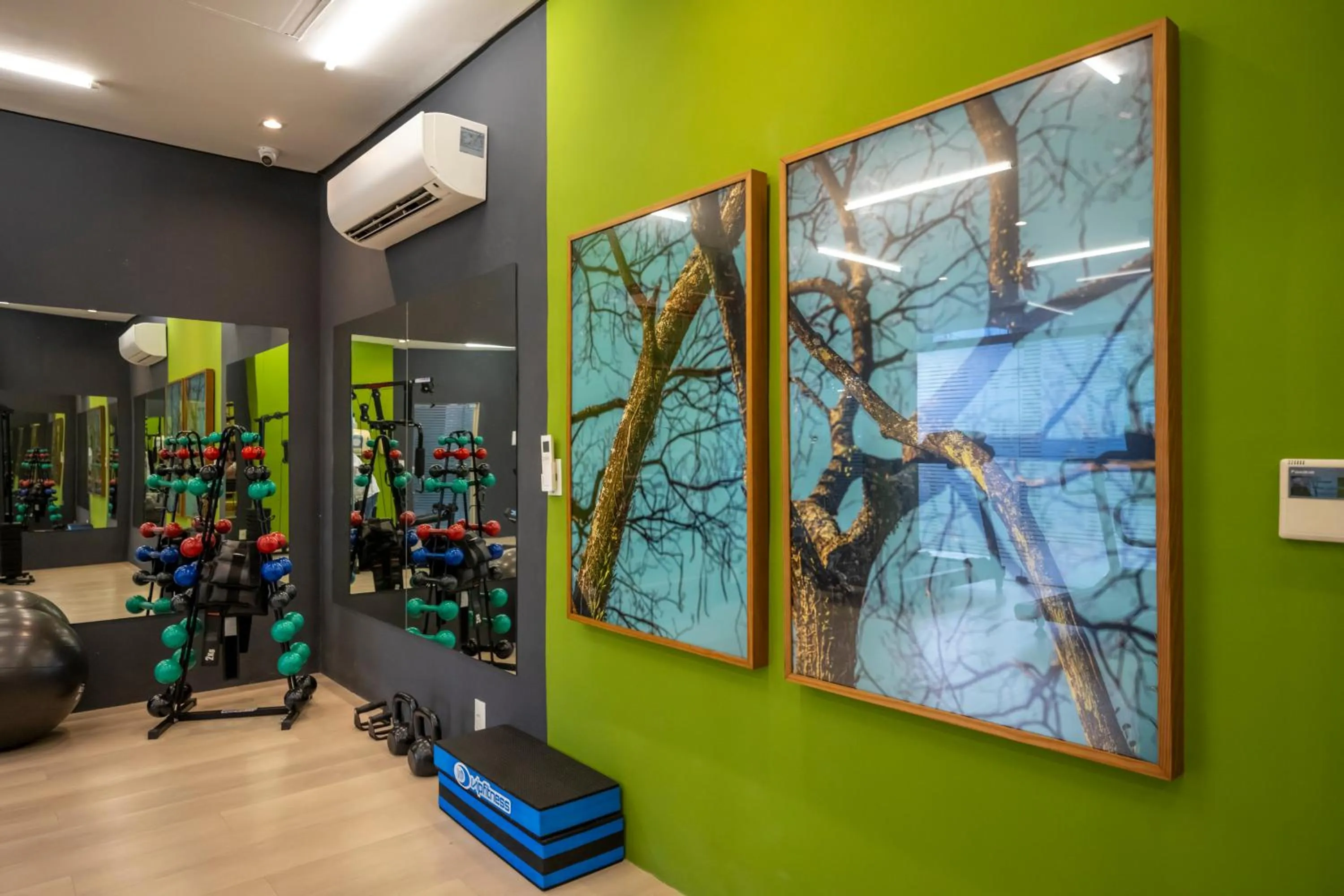 Fitness centre/facilities in Villa Park Hotel Recife