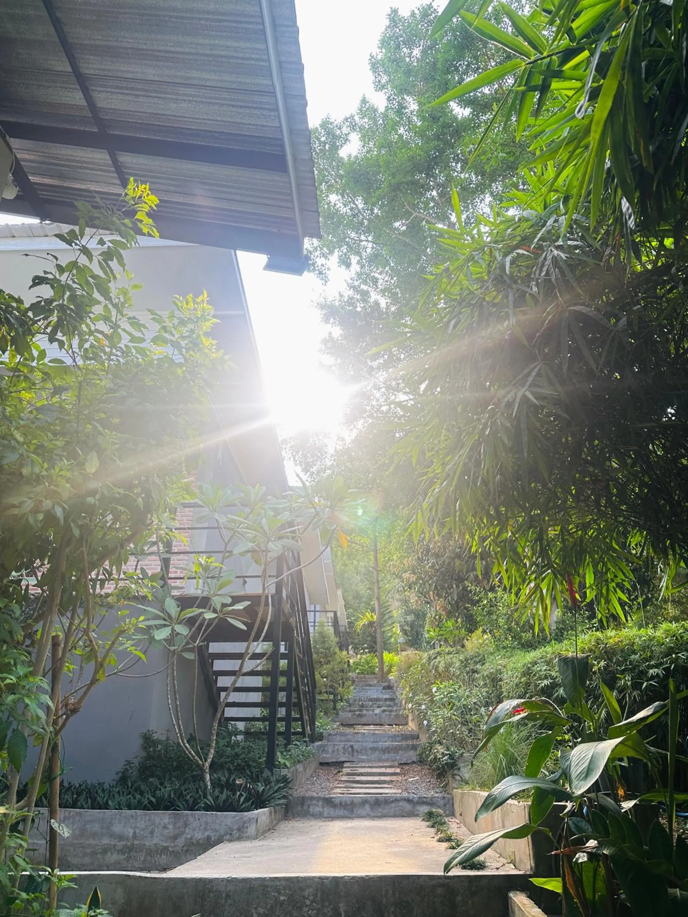 Day in Live In Leaf Koh Tao