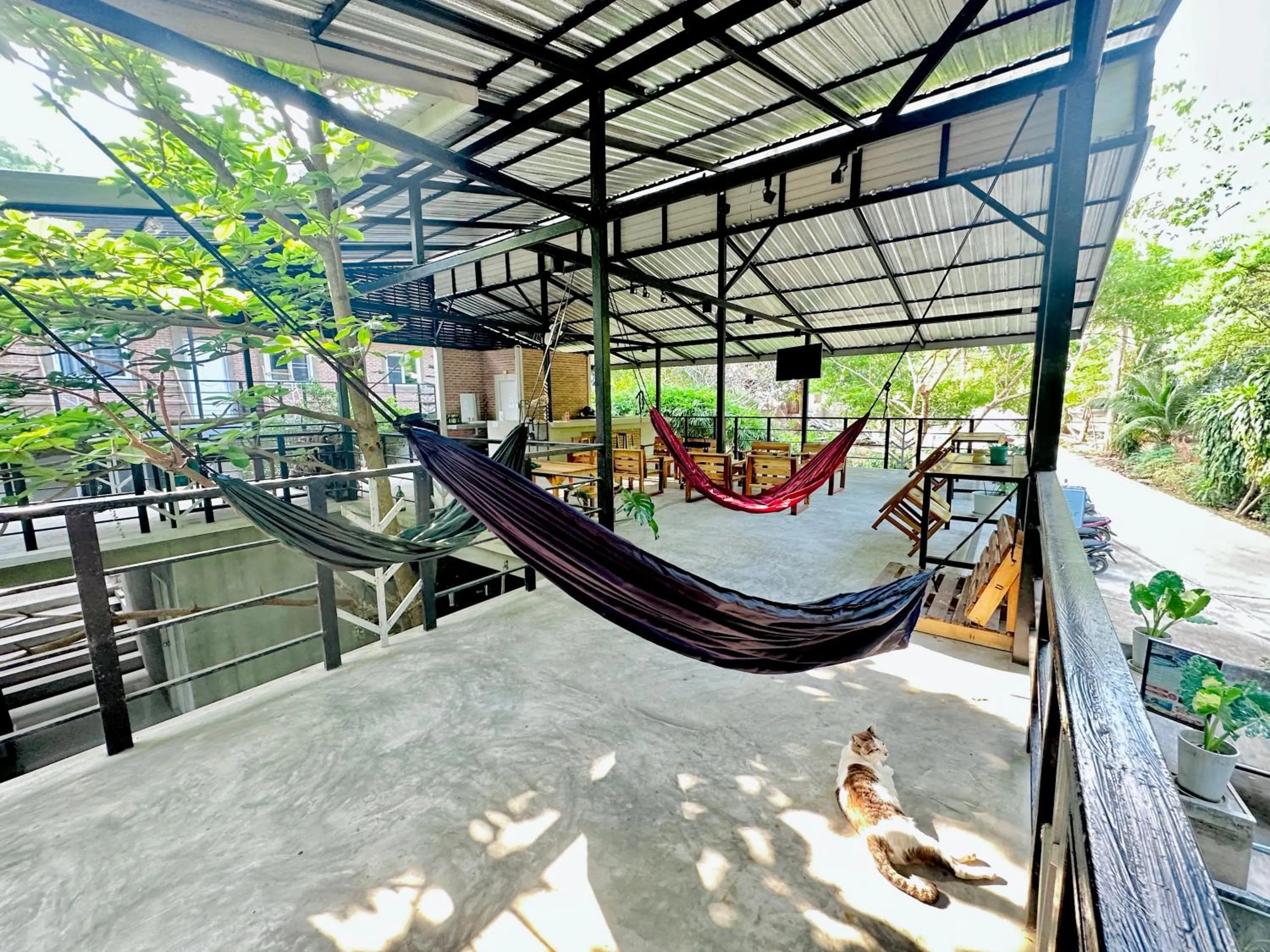 Day in Live In Leaf Koh Tao