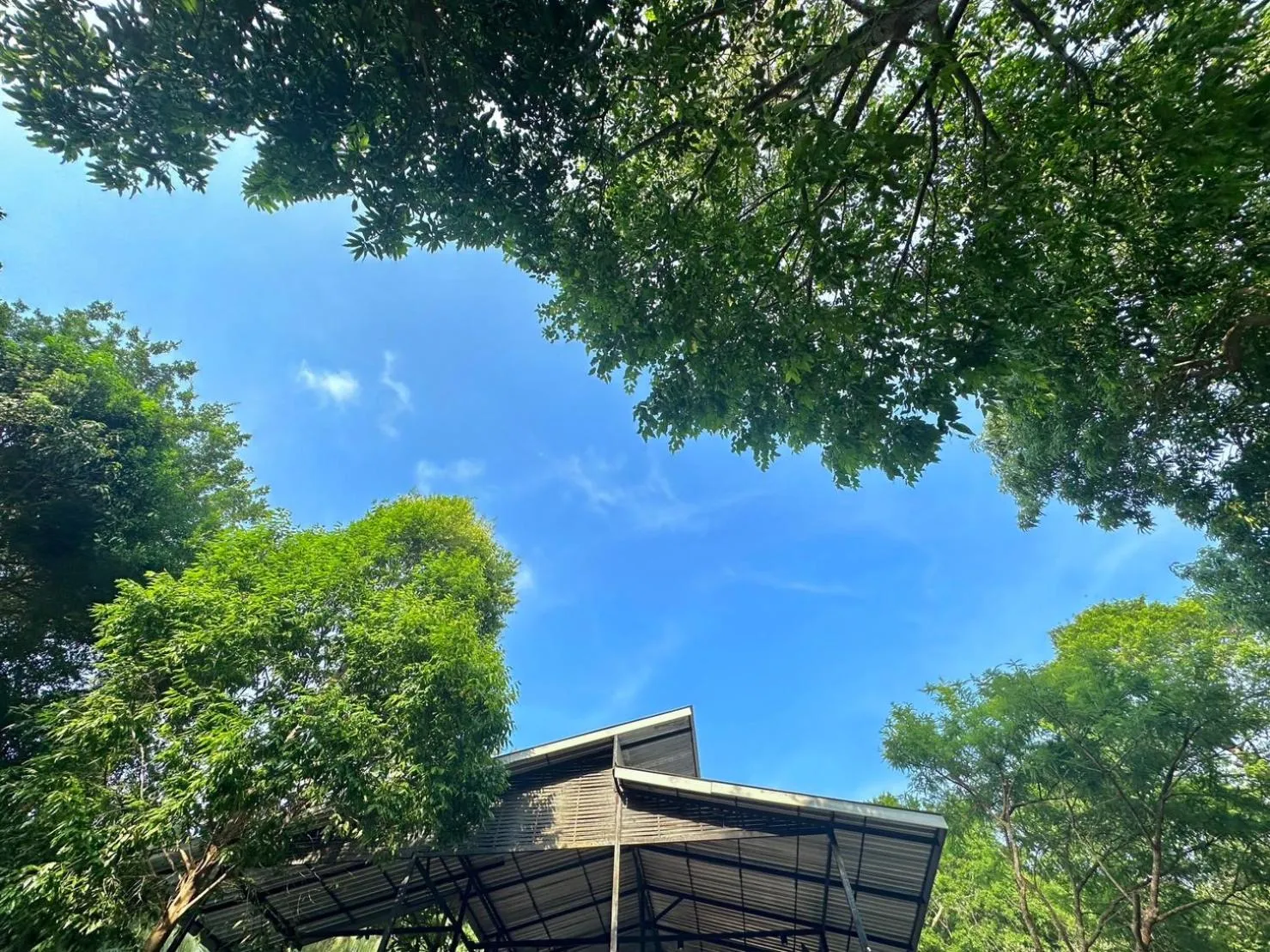 Day in Live In Leaf Koh Tao