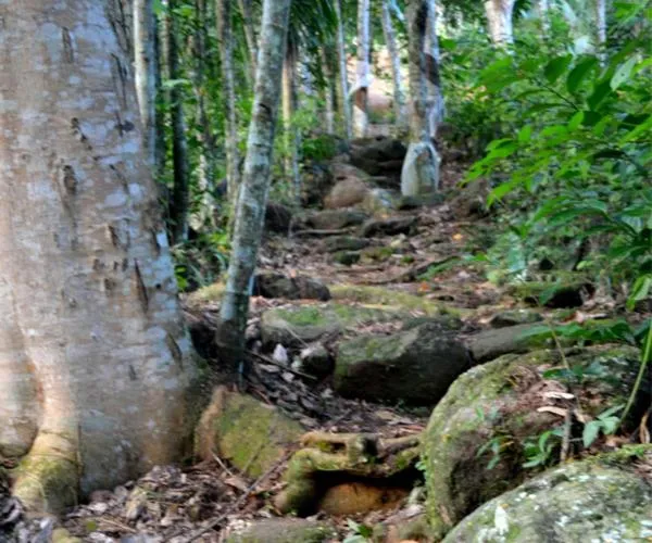 Property building in The Retreat Sri Lanka