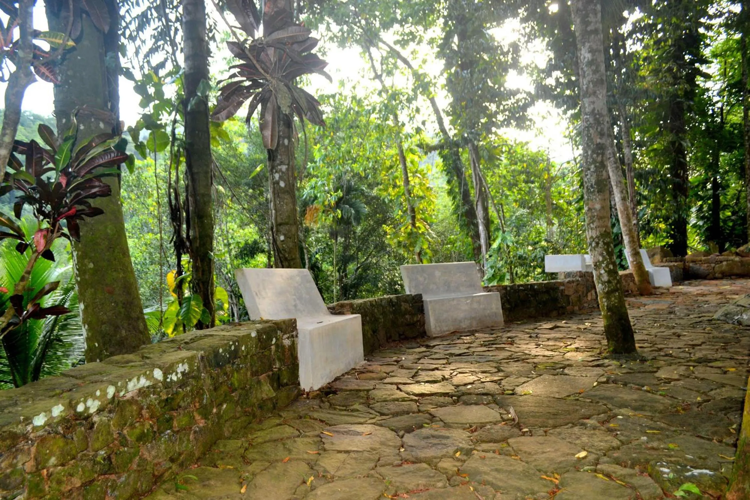 Garden in The Retreat Sri Lanka