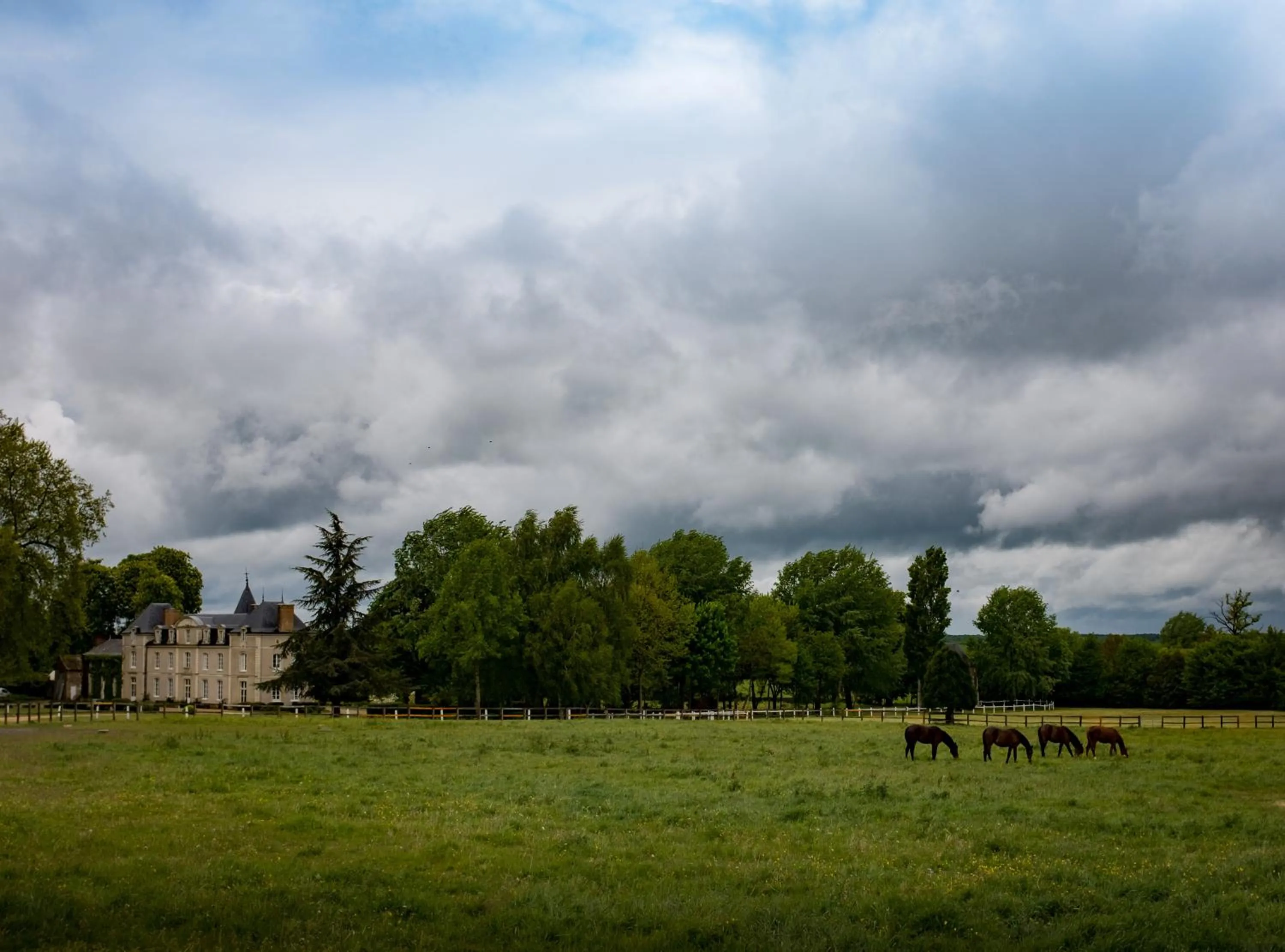 Animals in Hotel Haras De La Potardiere
